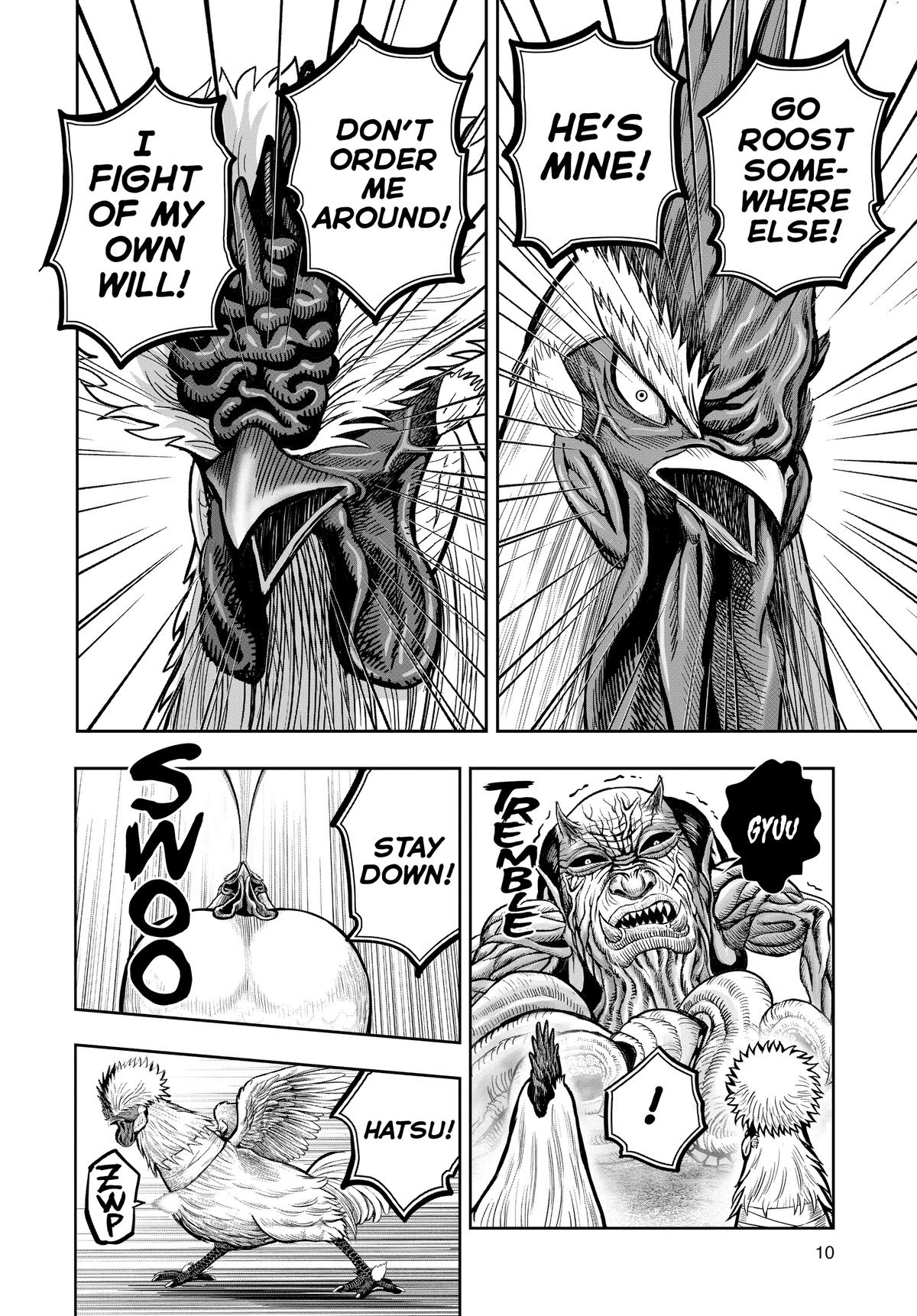 Read Rooster Fighter EN Manga Online