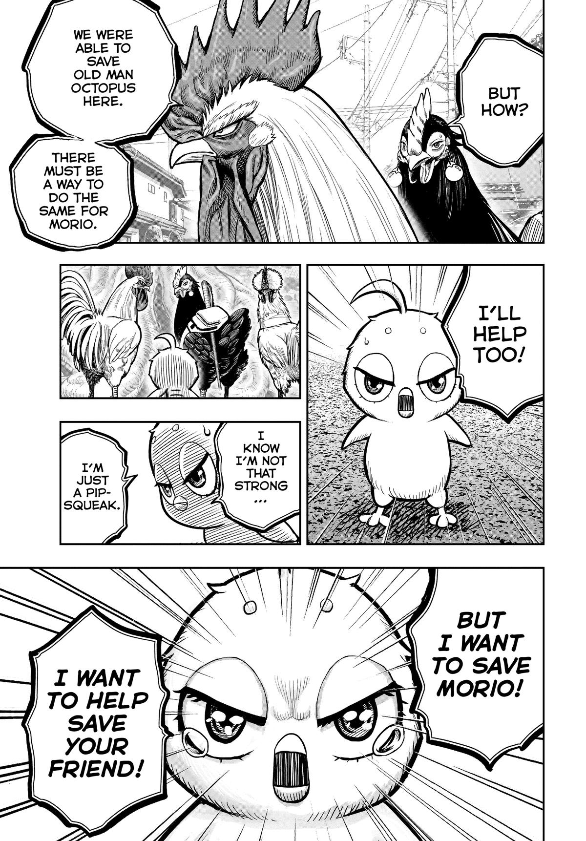 Read Rooster Fighter EN Manga Online