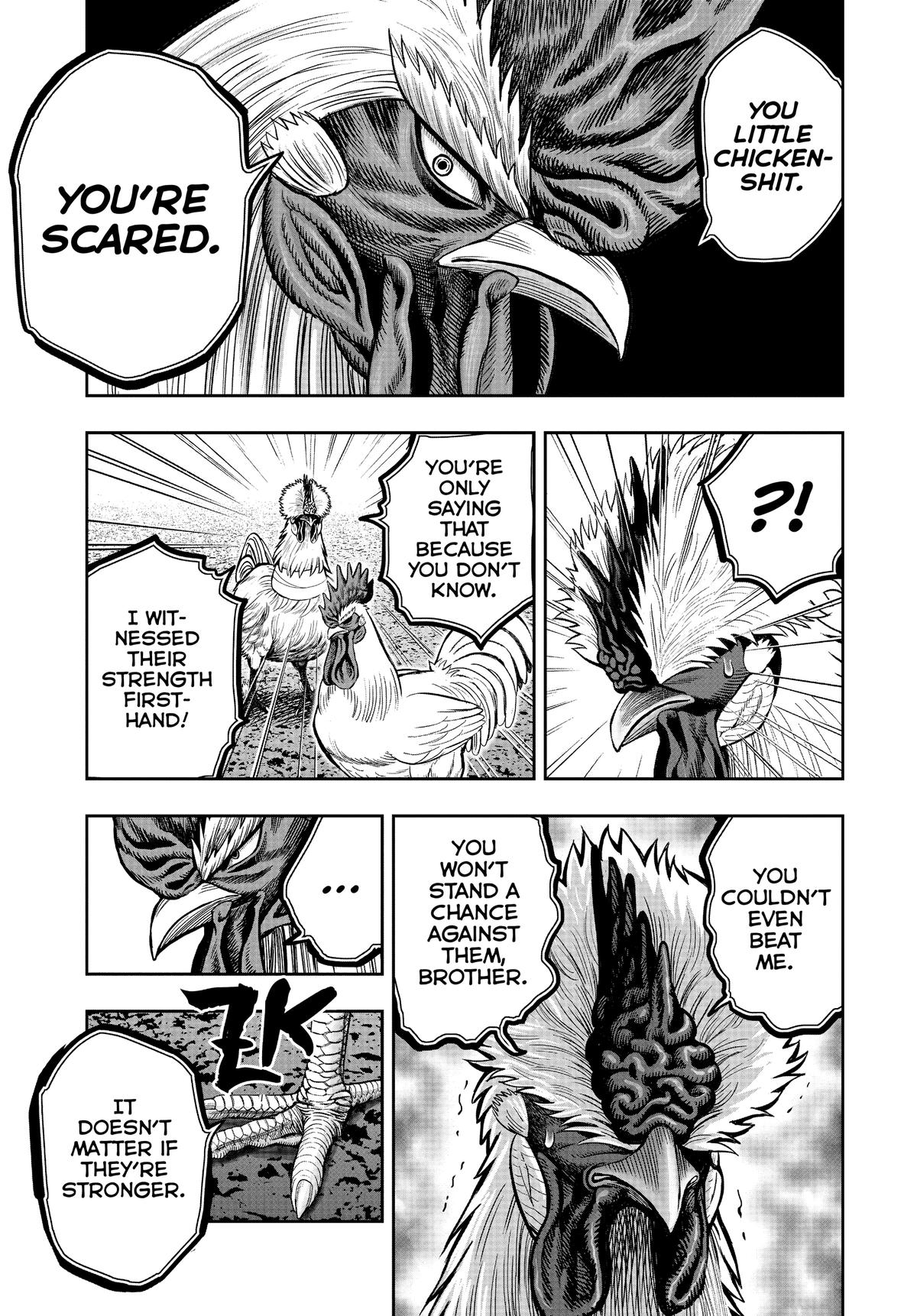 Read Rooster Fighter EN Manga Online