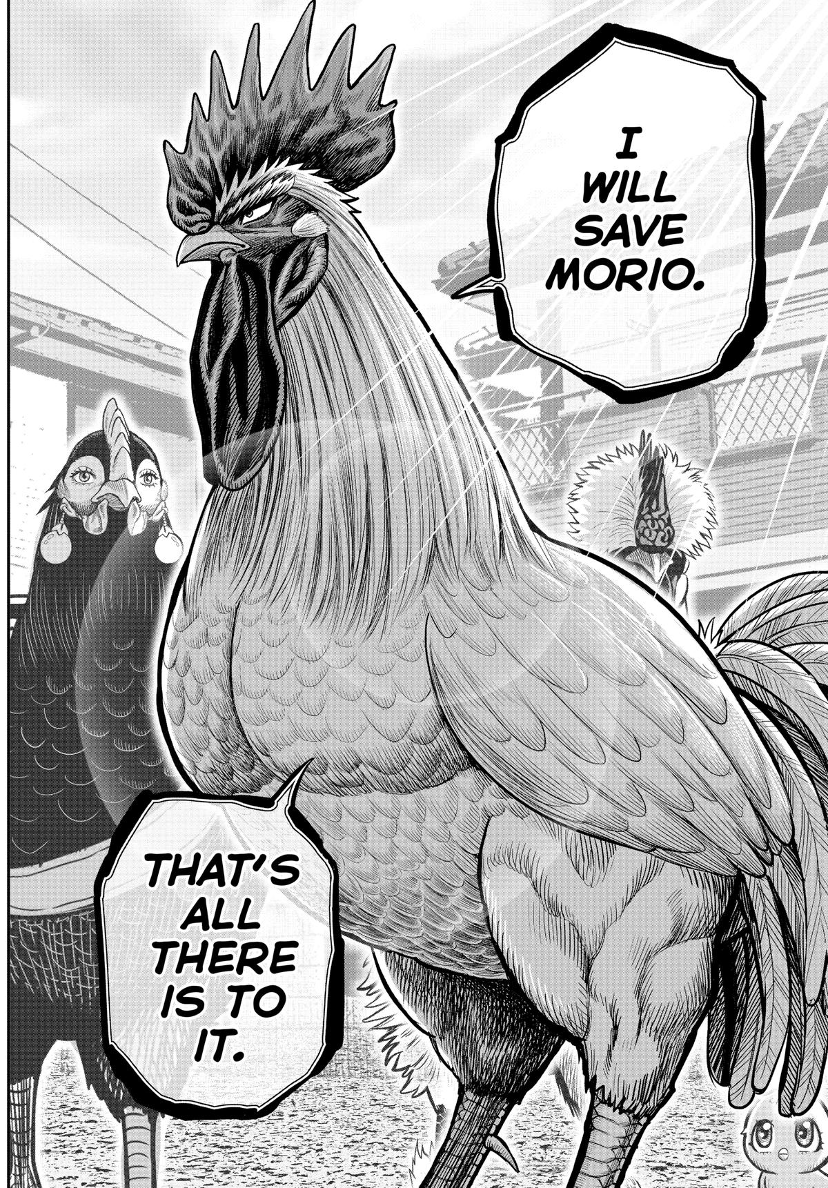 Read Rooster Fighter EN Manga Online
