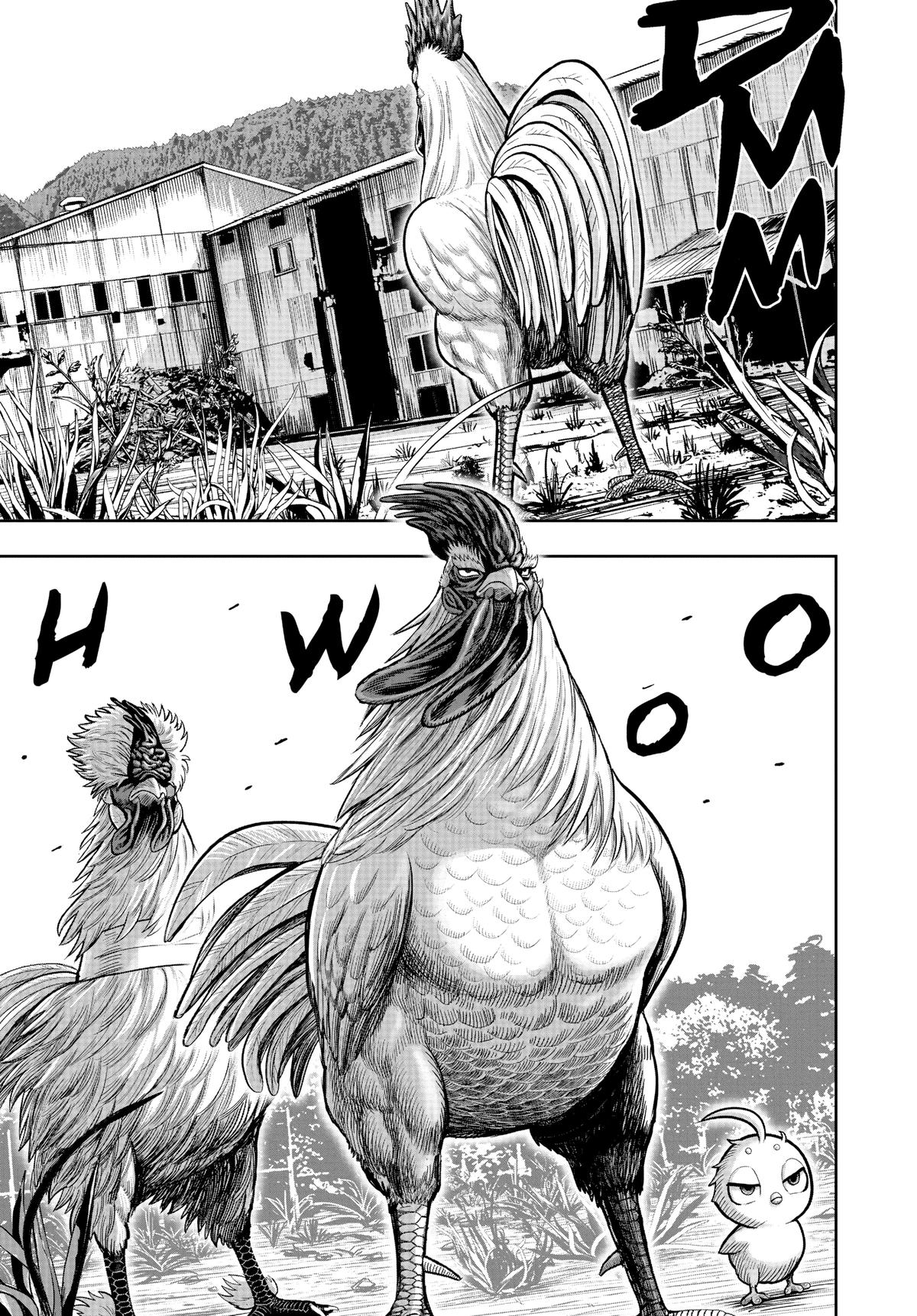Read Rooster Fighter EN Manga Online