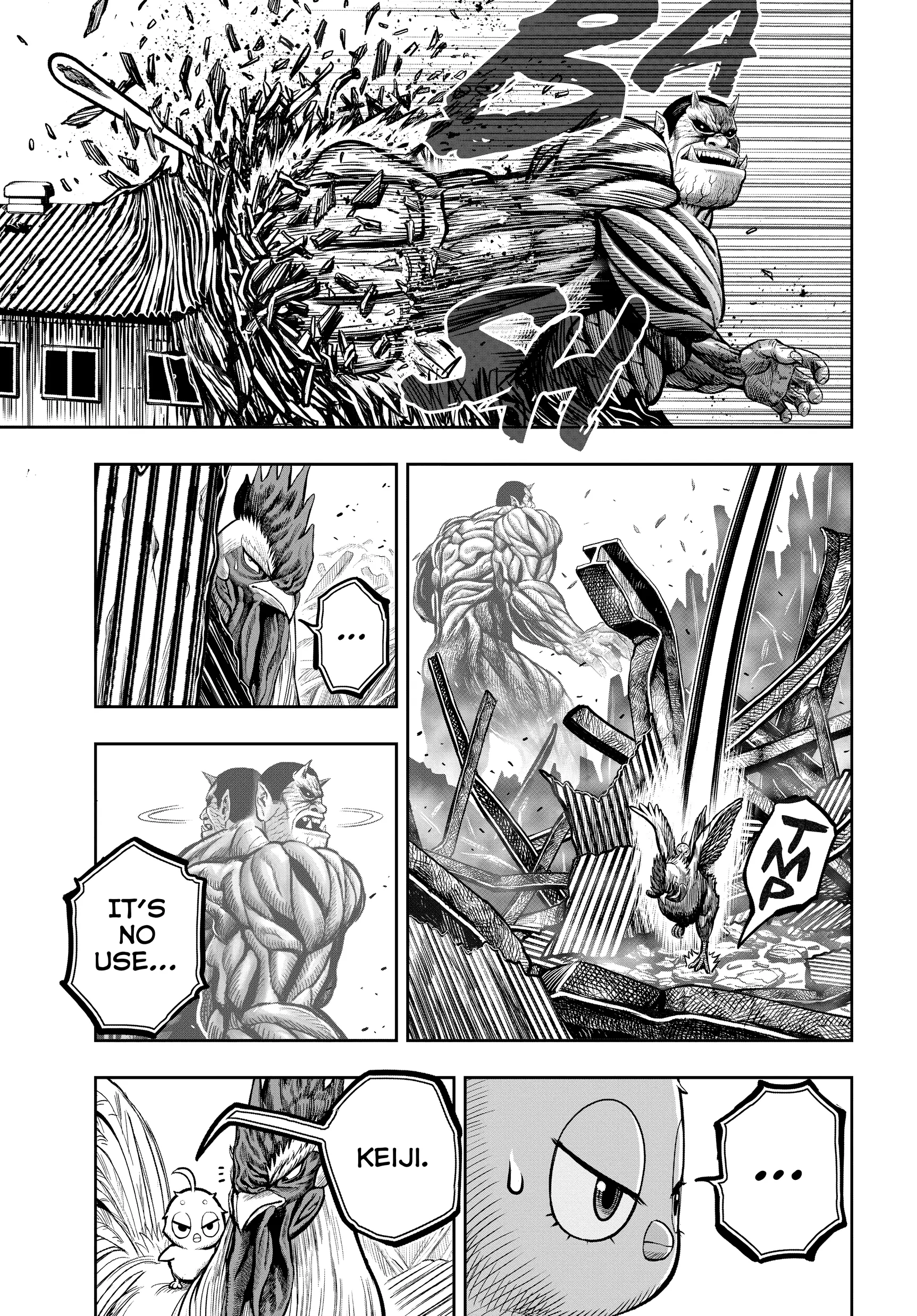 Read Rooster Fighter EN Manga Online