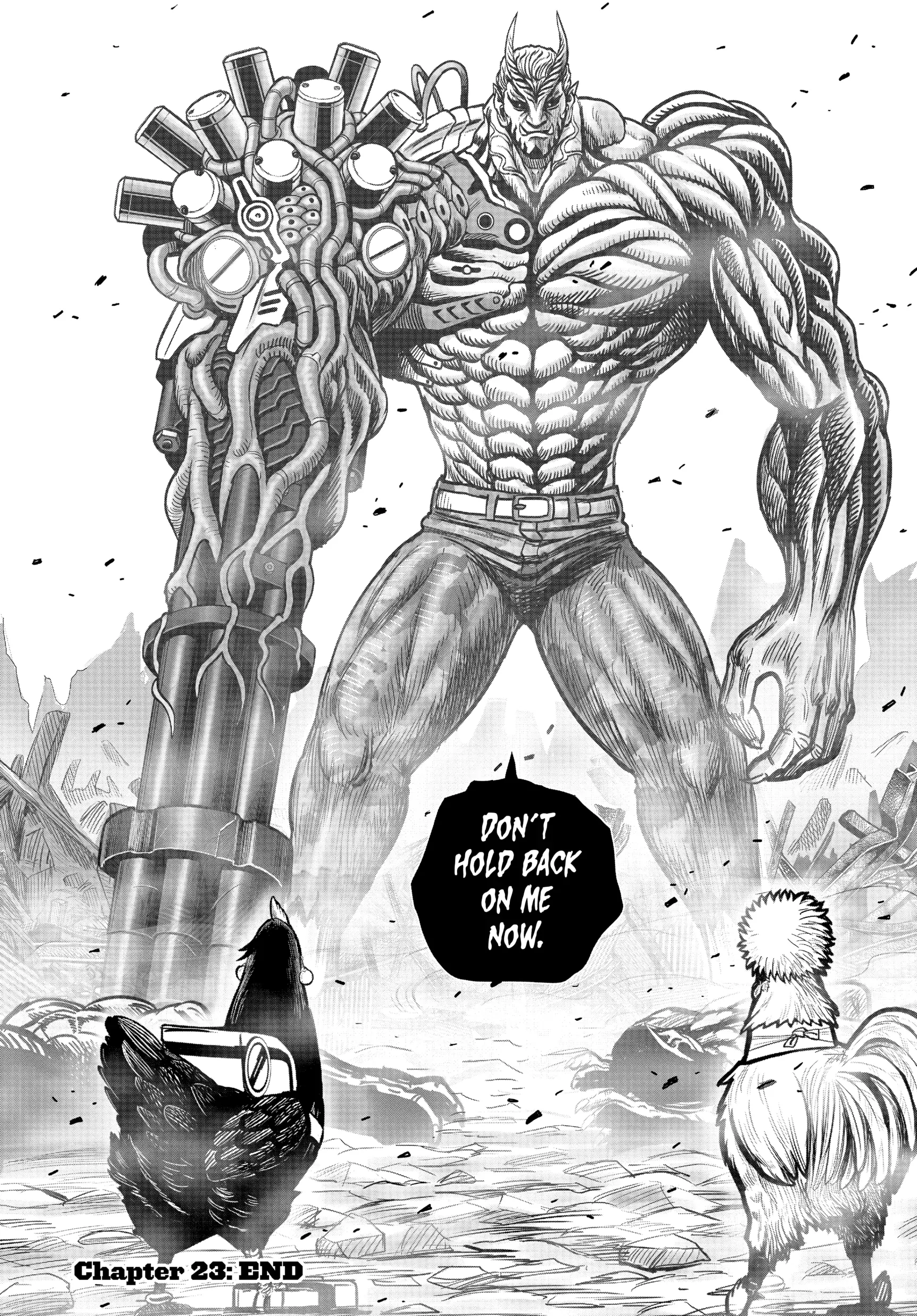 Read Rooster Fighter EN Manga Online