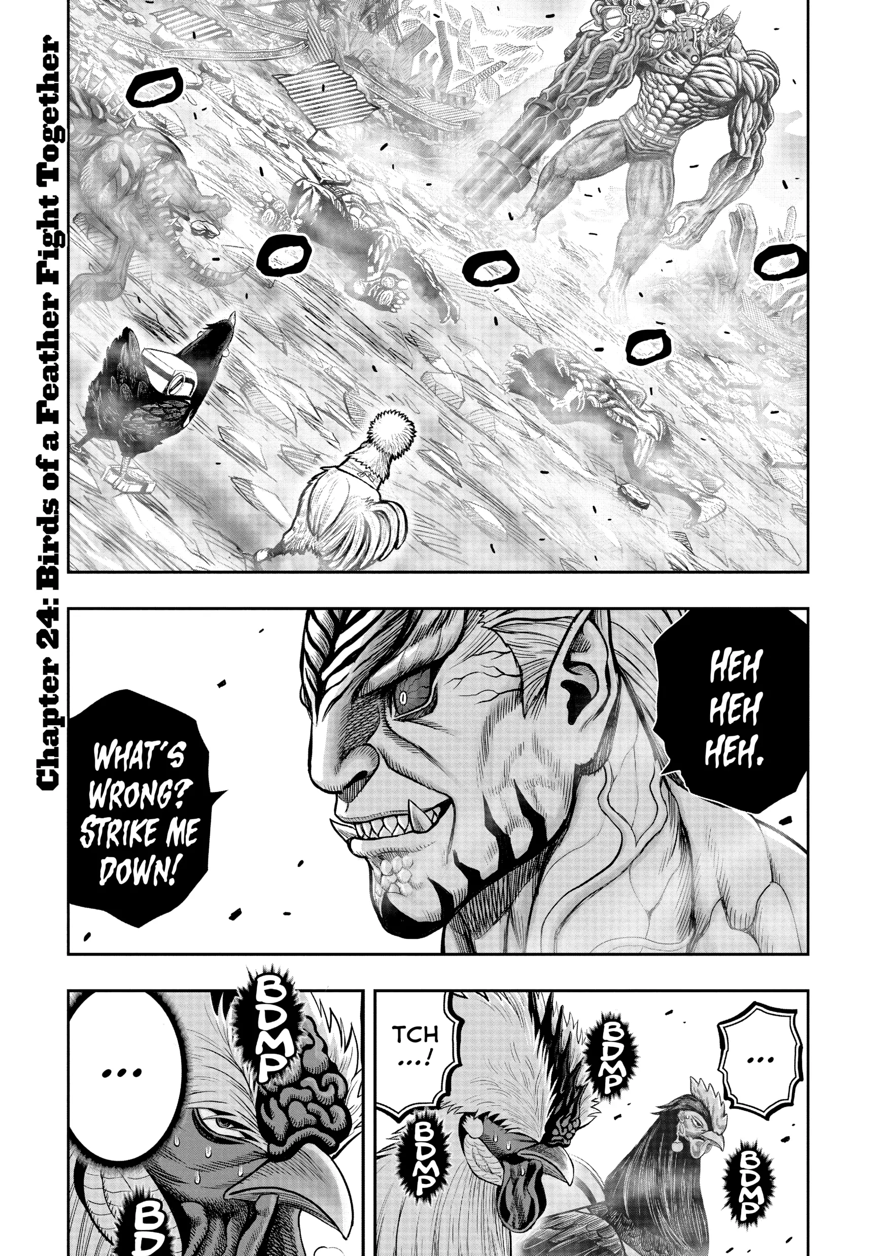 Read Rooster Fighter EN Manga Online