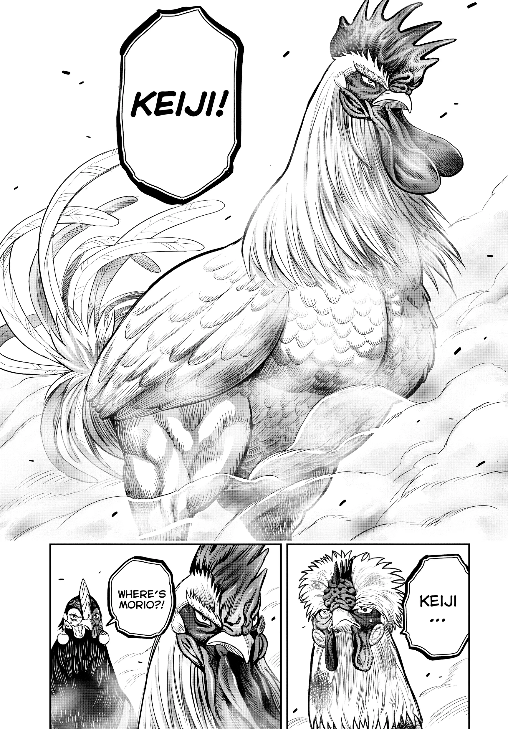 Read Rooster Fighter EN Manga Online