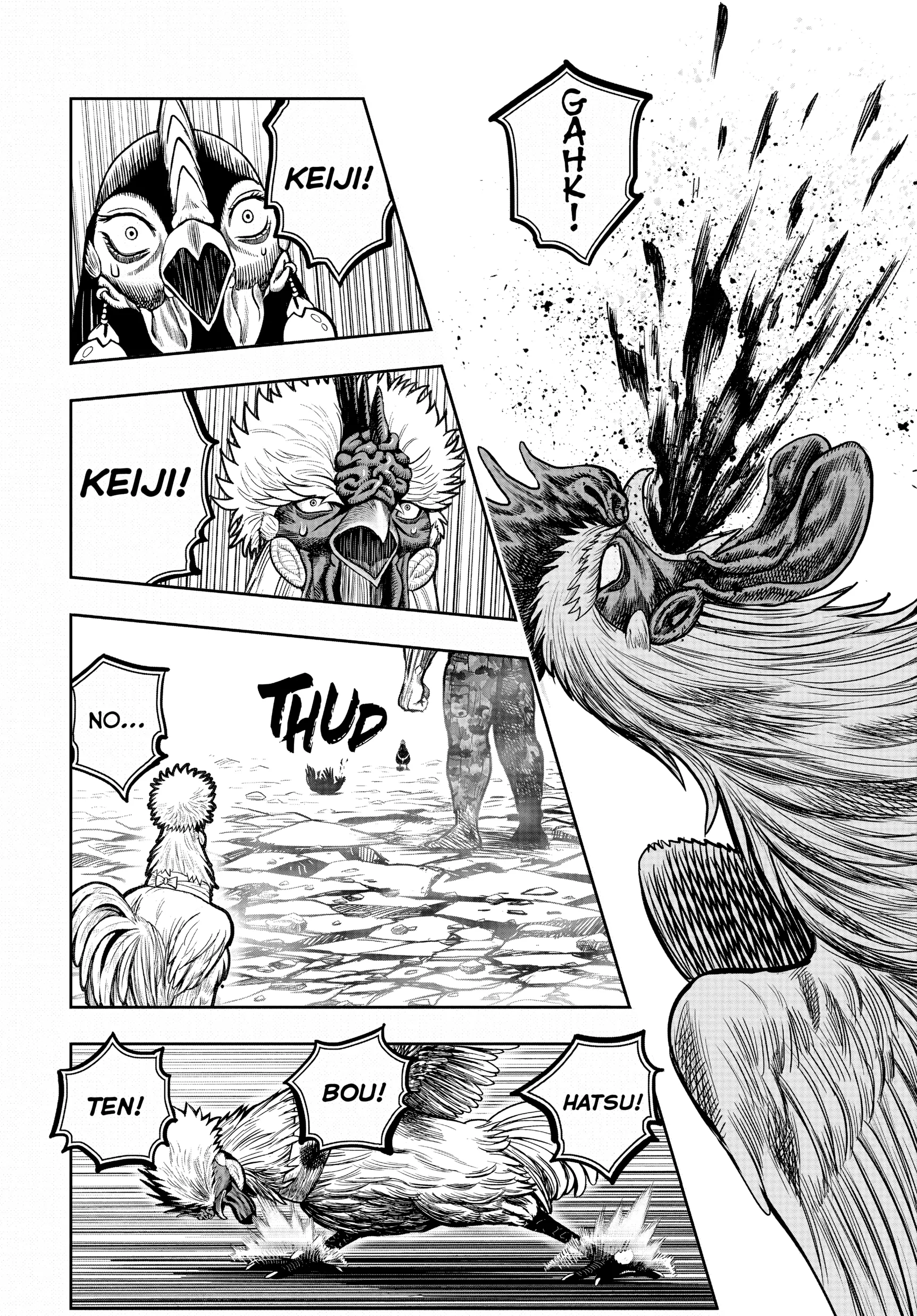 Read Rooster Fighter EN Manga Online