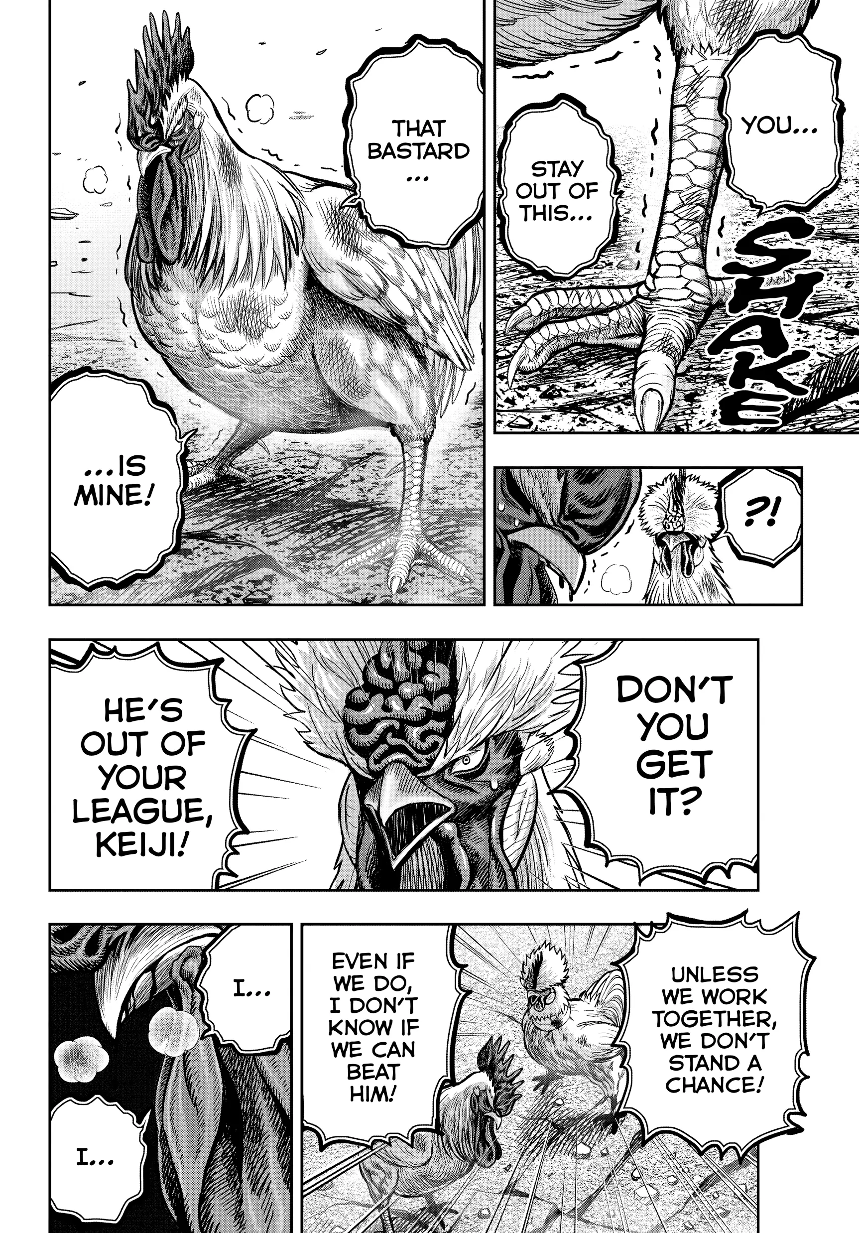 Read Rooster Fighter EN Manga Online