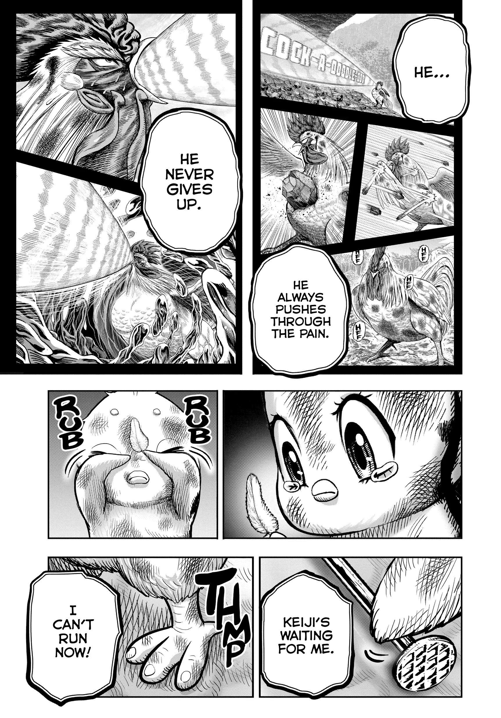 Read Rooster Fighter EN Manga Online