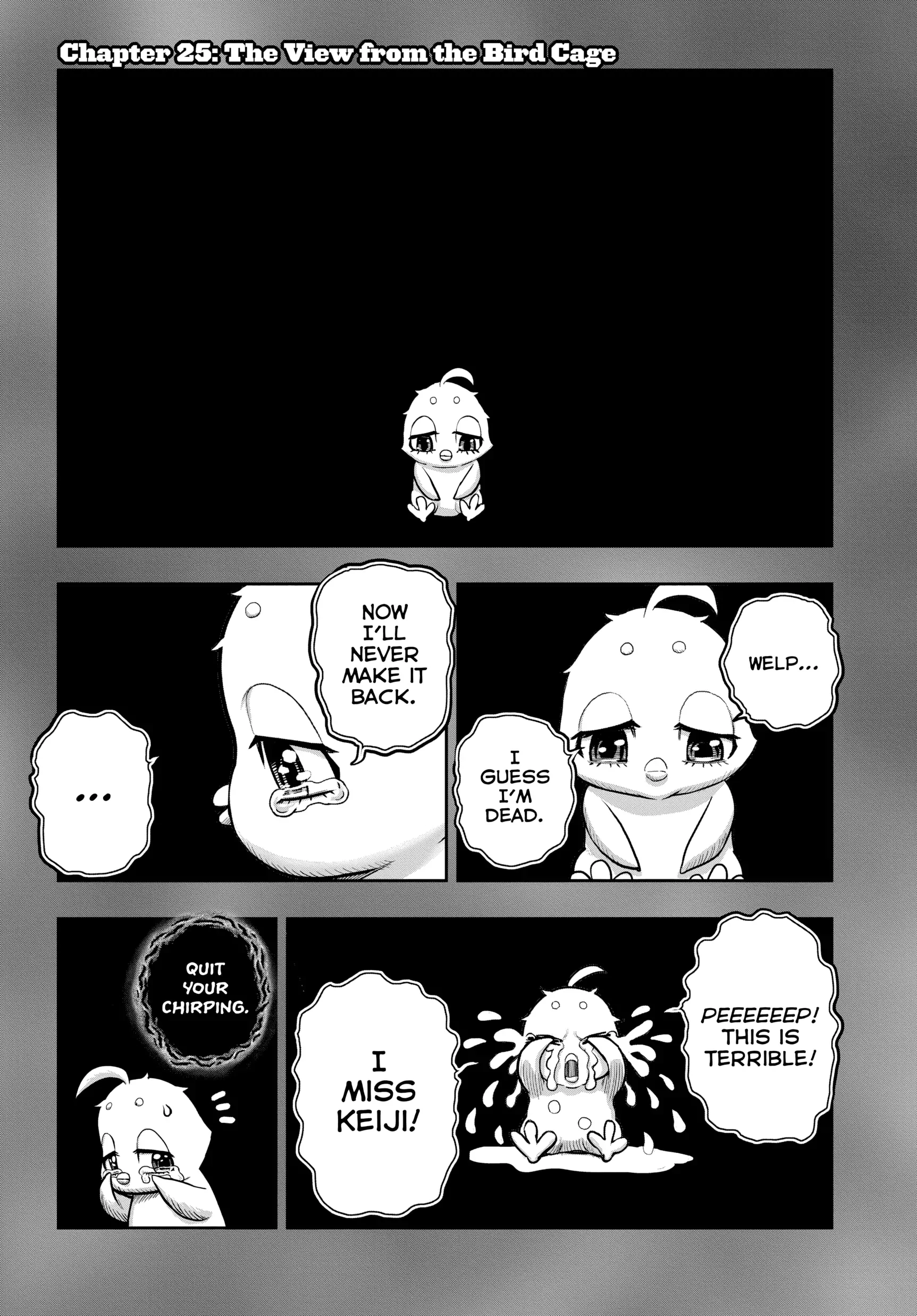 Read Rooster Fighter EN Manga Online
