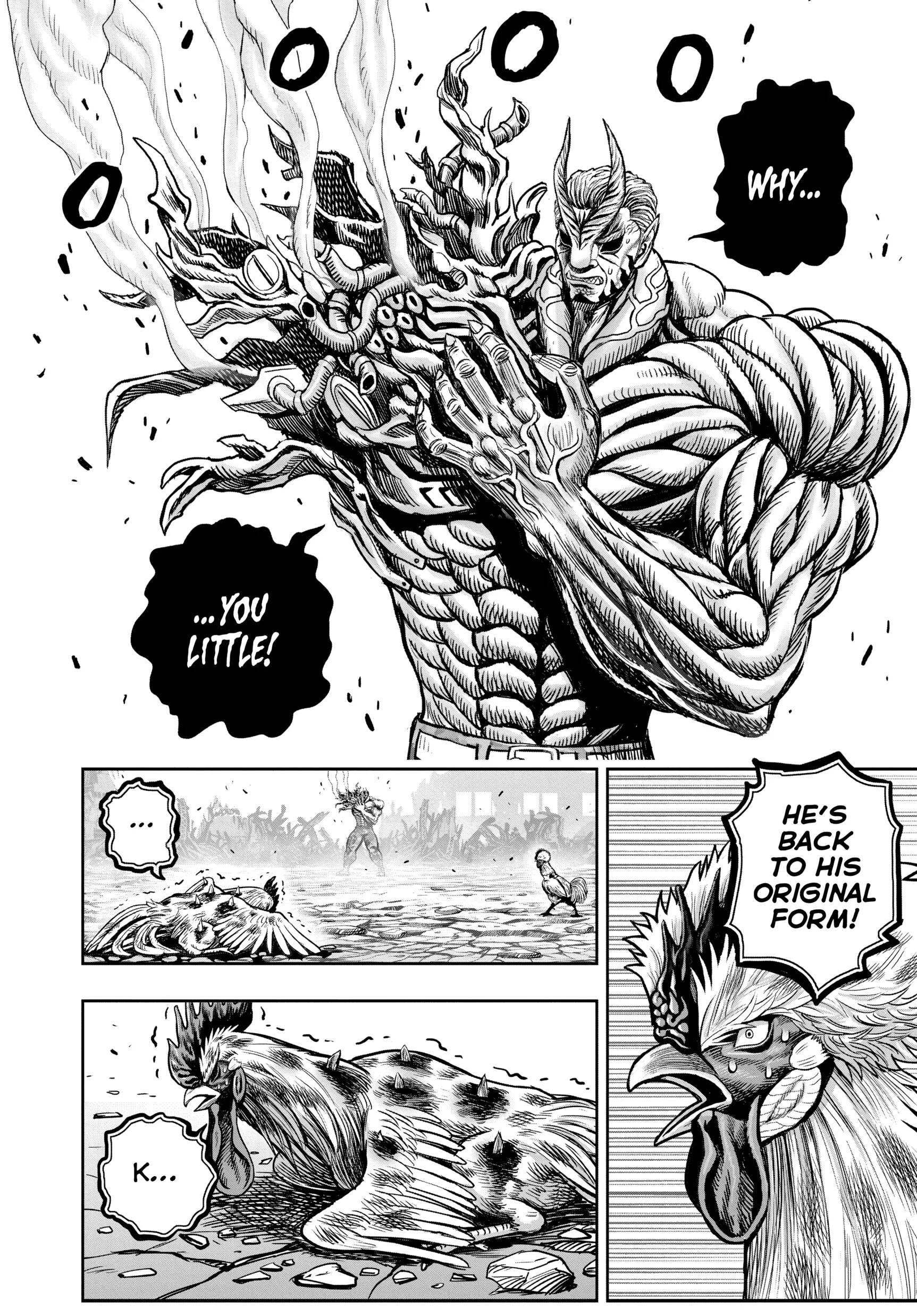 Read Rooster Fighter EN Manga Online