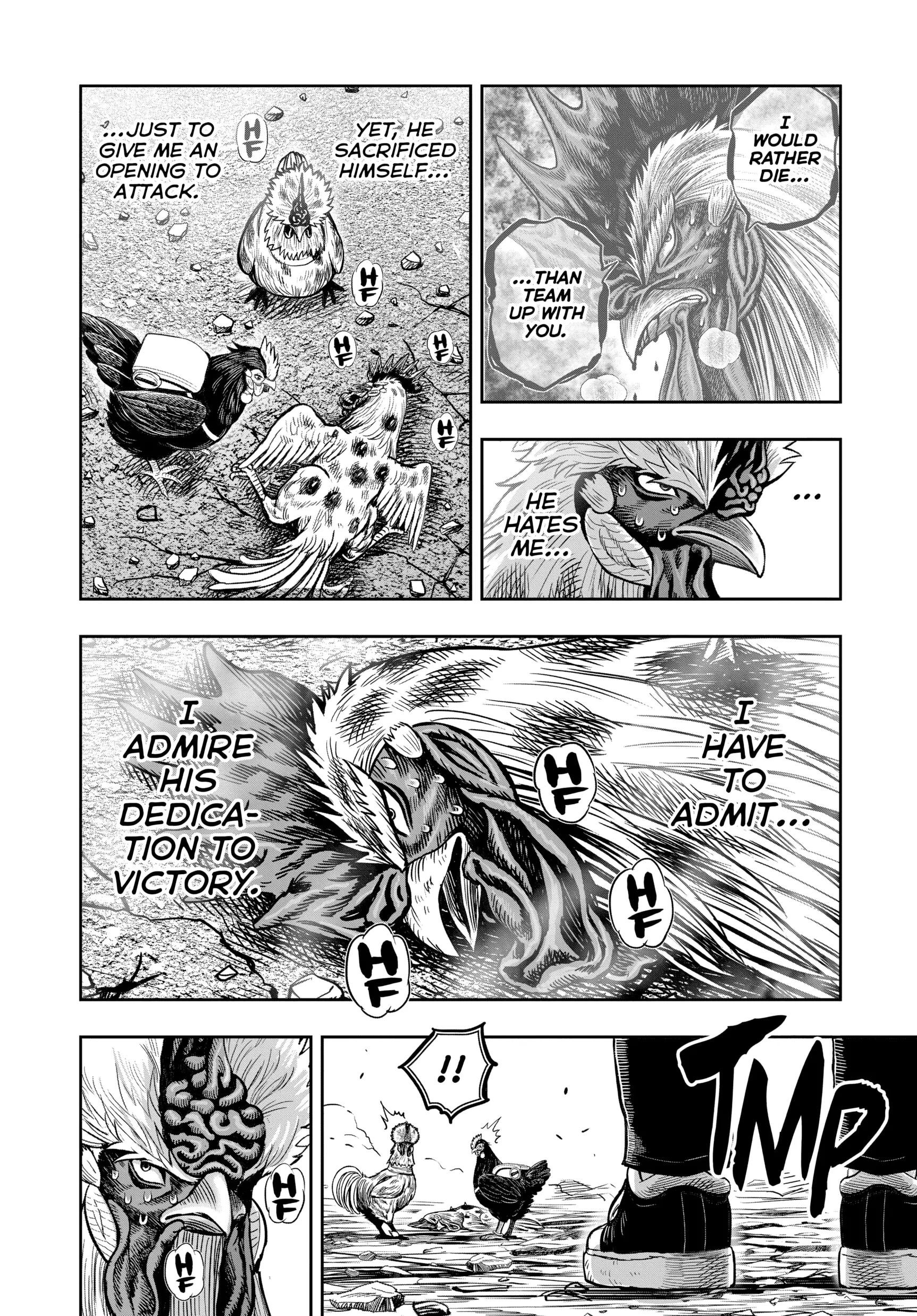 Read Rooster Fighter EN Manga Online
