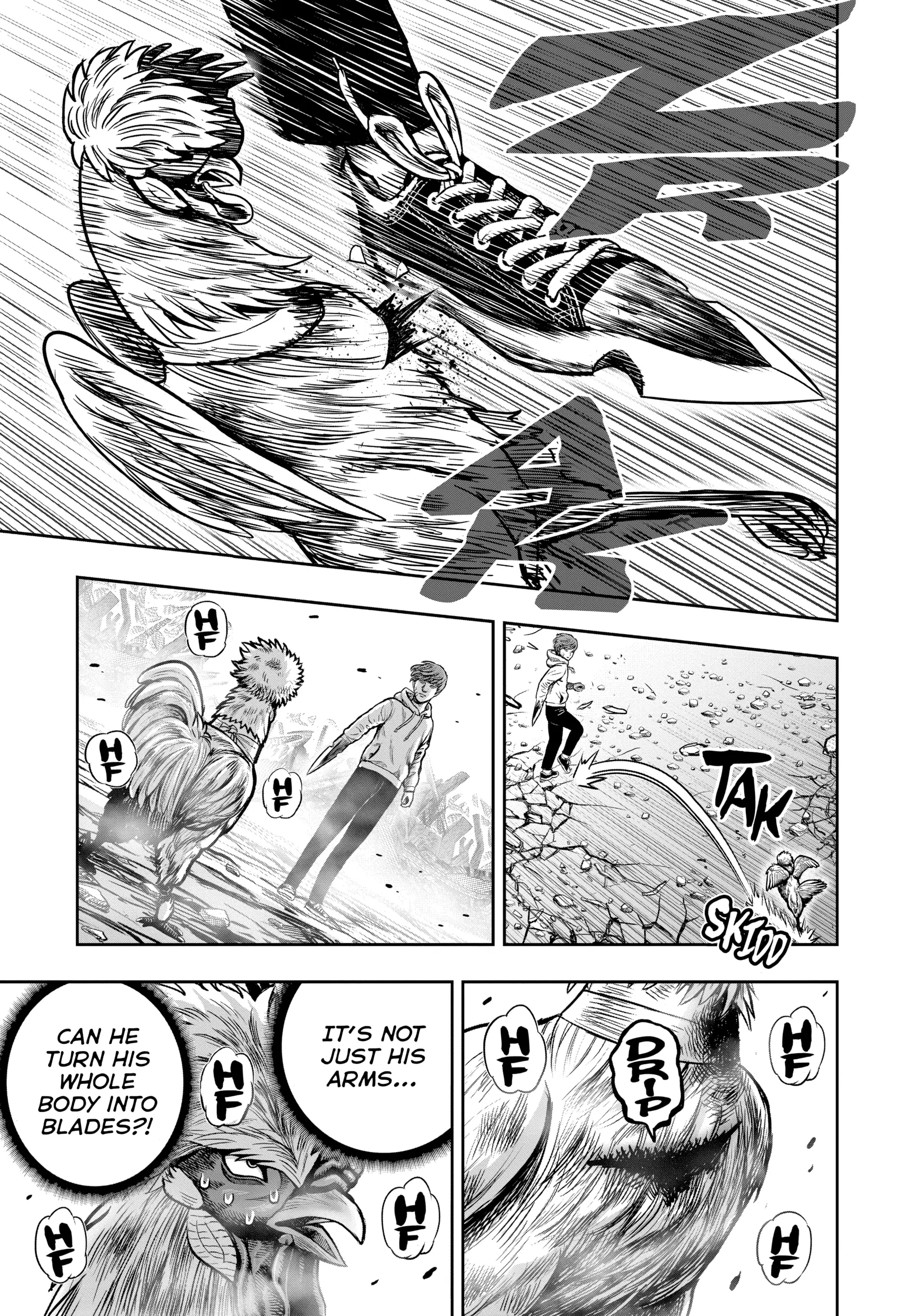 Read Rooster Fighter EN Manga Online