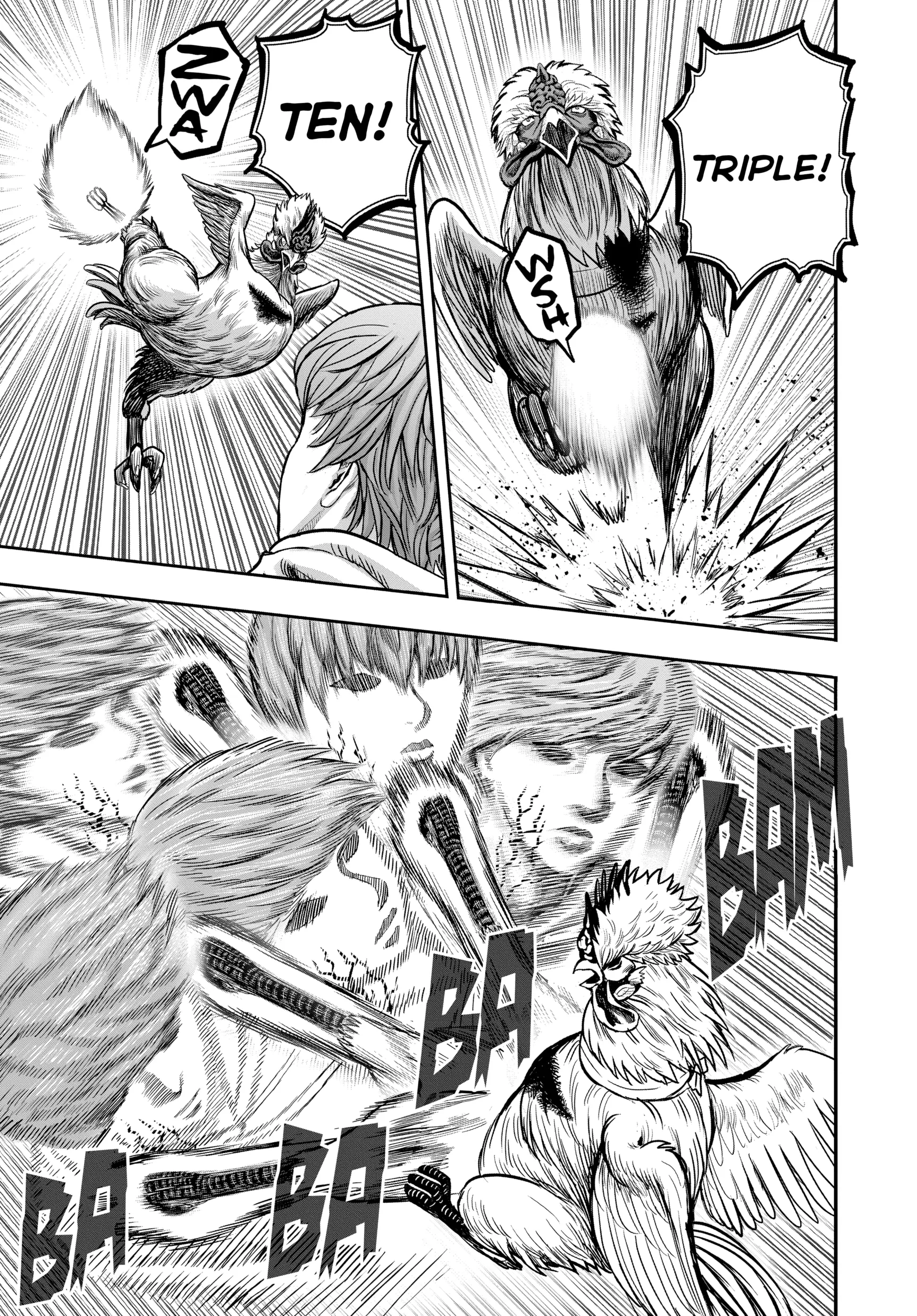 Read Rooster Fighter EN Manga Online