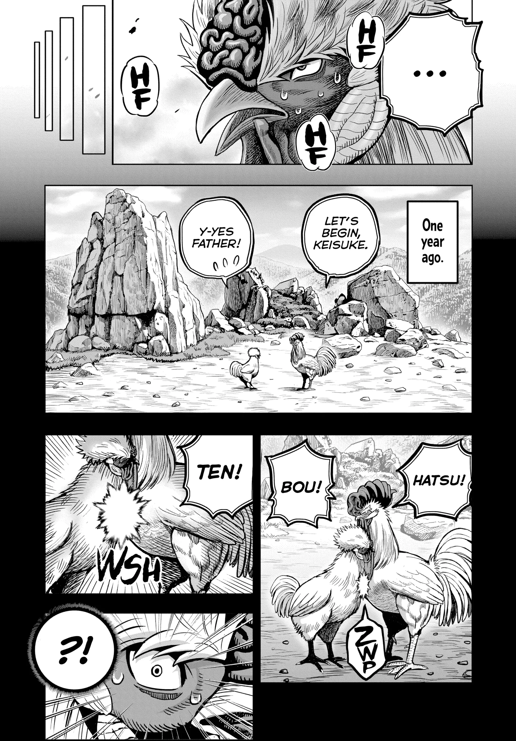 Read Rooster Fighter EN Manga Online