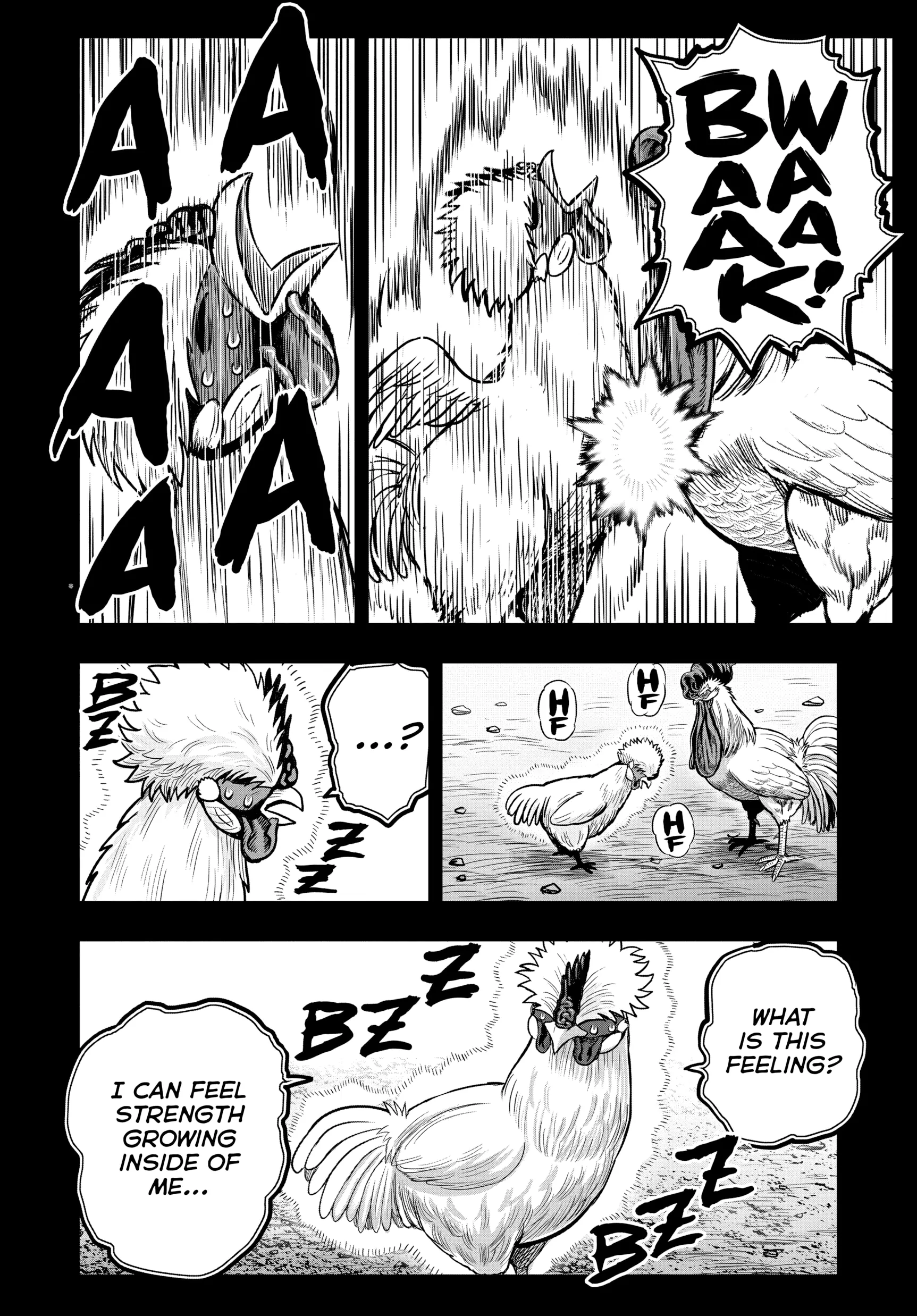 Read Rooster Fighter EN Manga Online