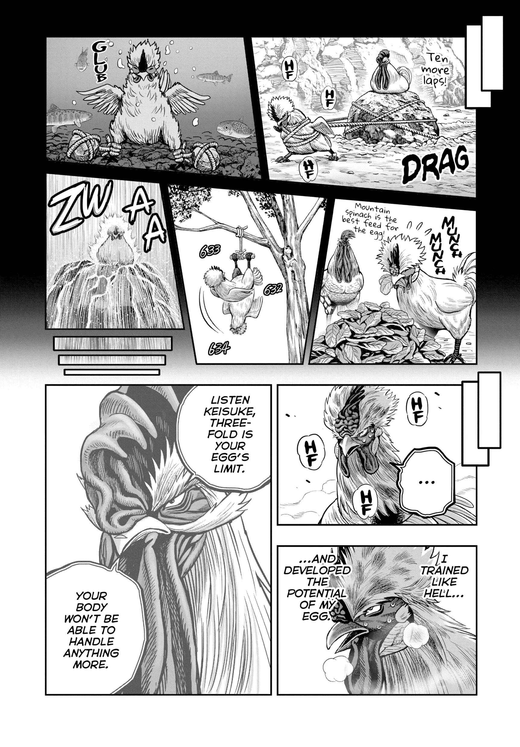 Read Rooster Fighter EN Manga Online