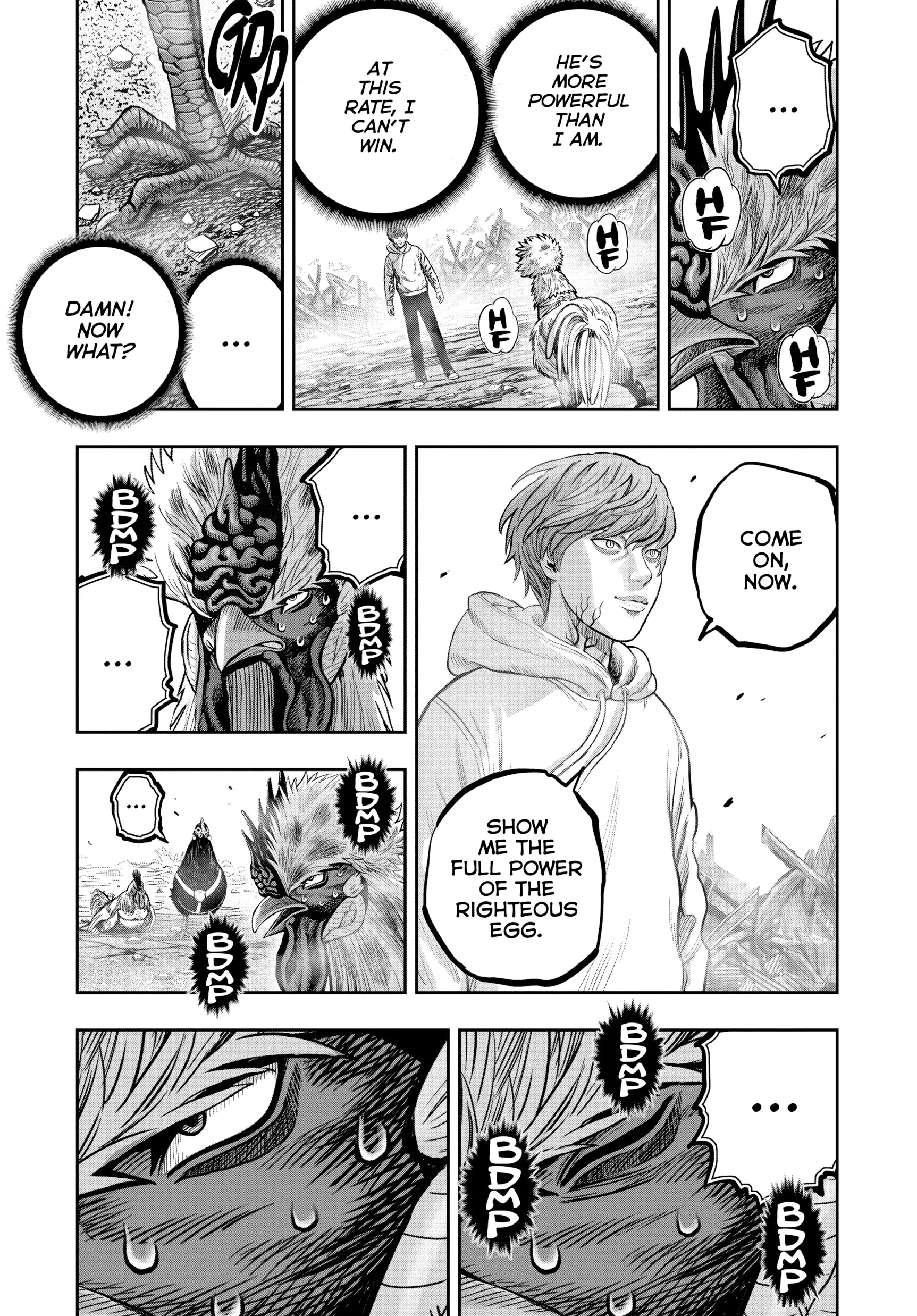 Read Rooster Fighter EN Manga Online