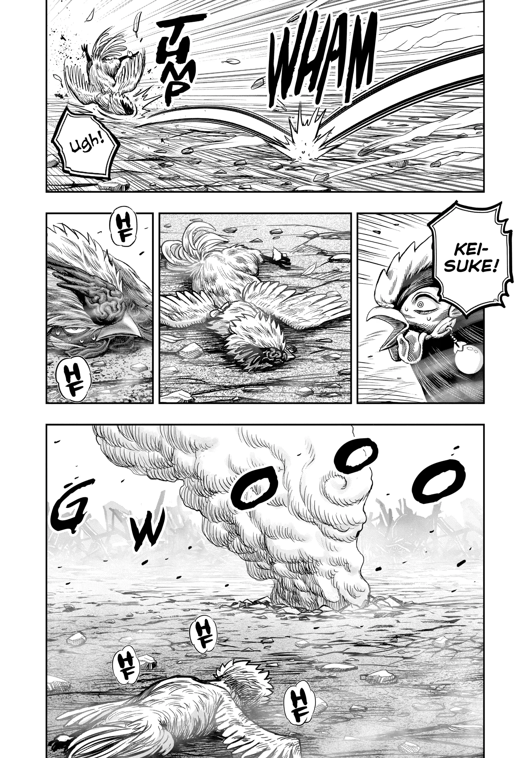 Read Rooster Fighter EN Manga Online