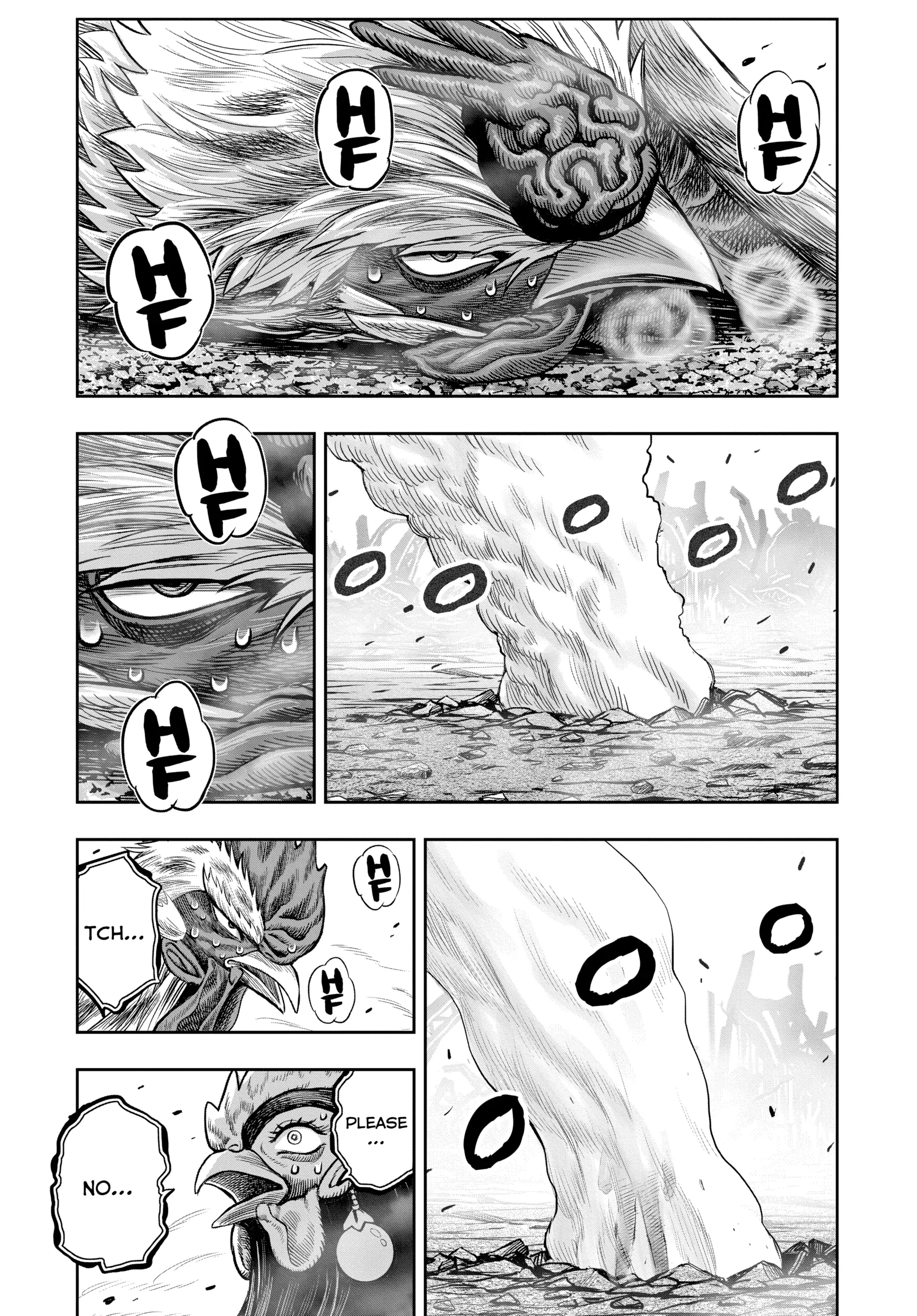 Read Rooster Fighter EN Manga Online