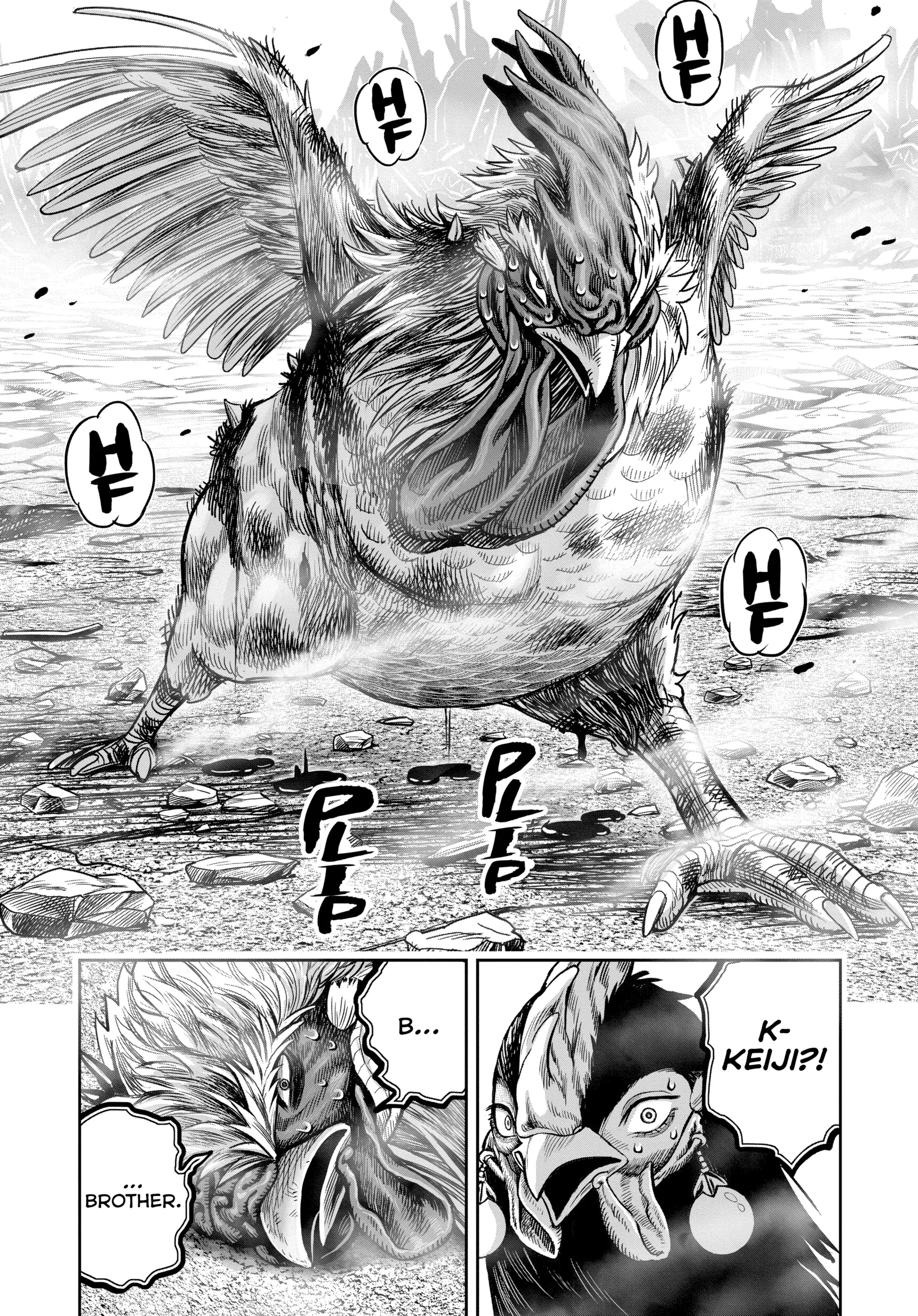 Read Rooster Fighter EN Manga Online