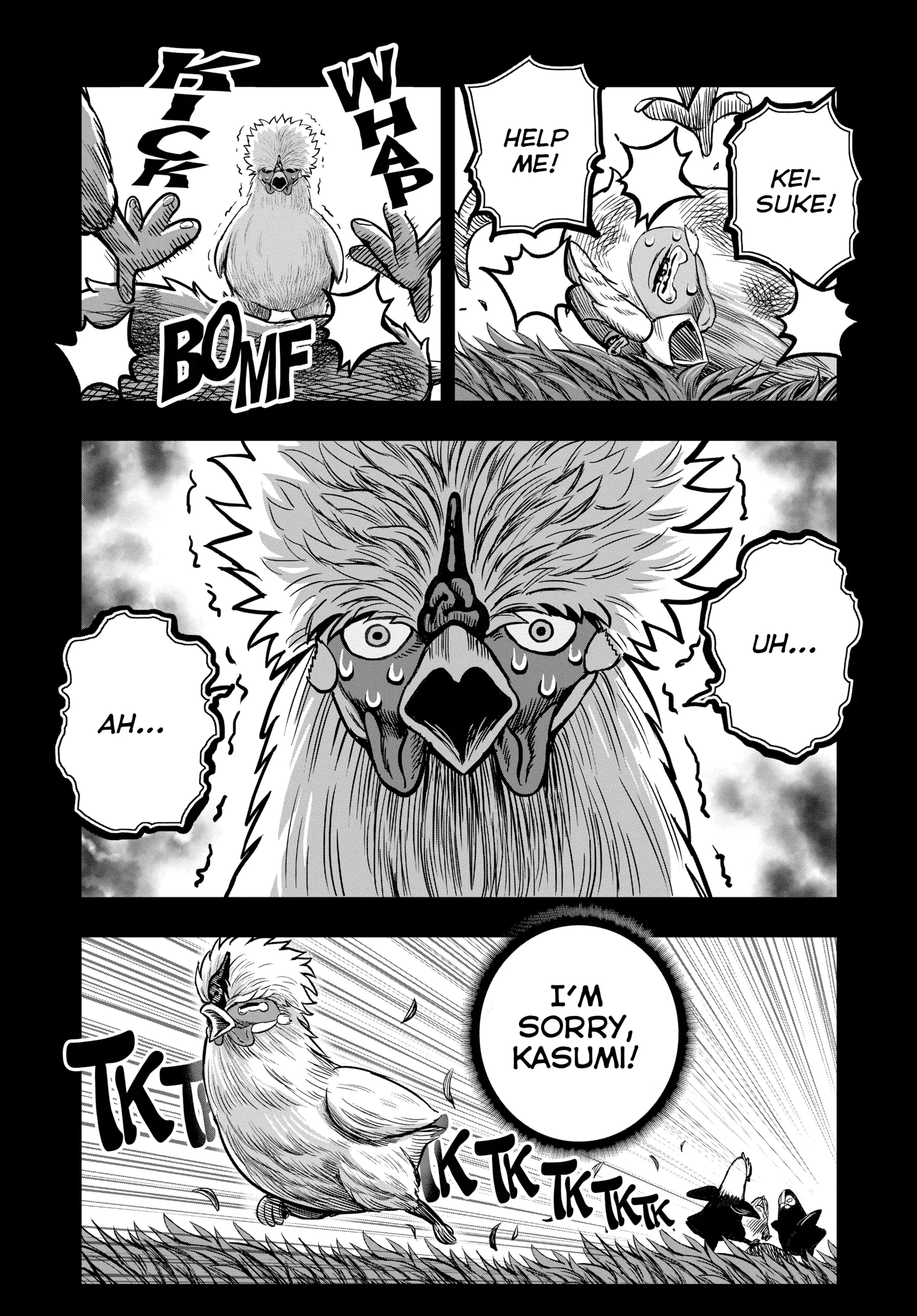 Read Rooster Fighter EN Manga Online