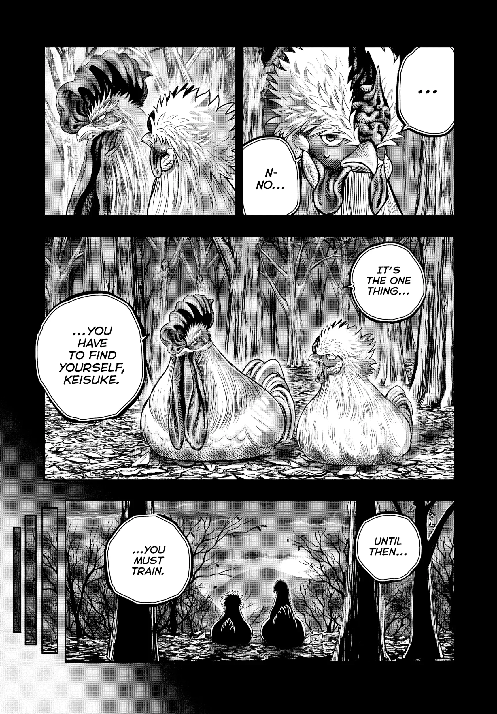 Read Rooster Fighter EN Manga Online