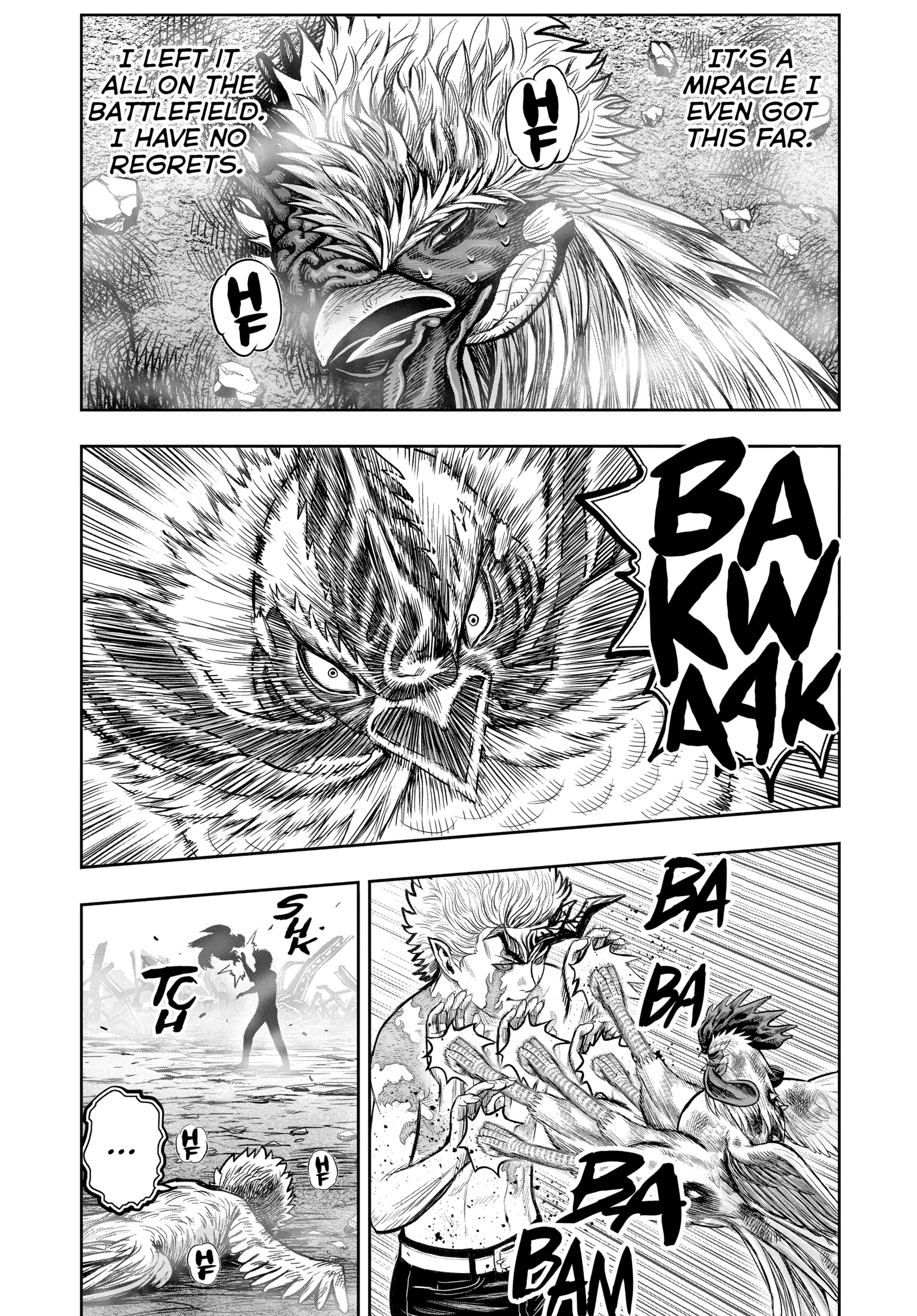 Read Rooster Fighter EN Manga Online