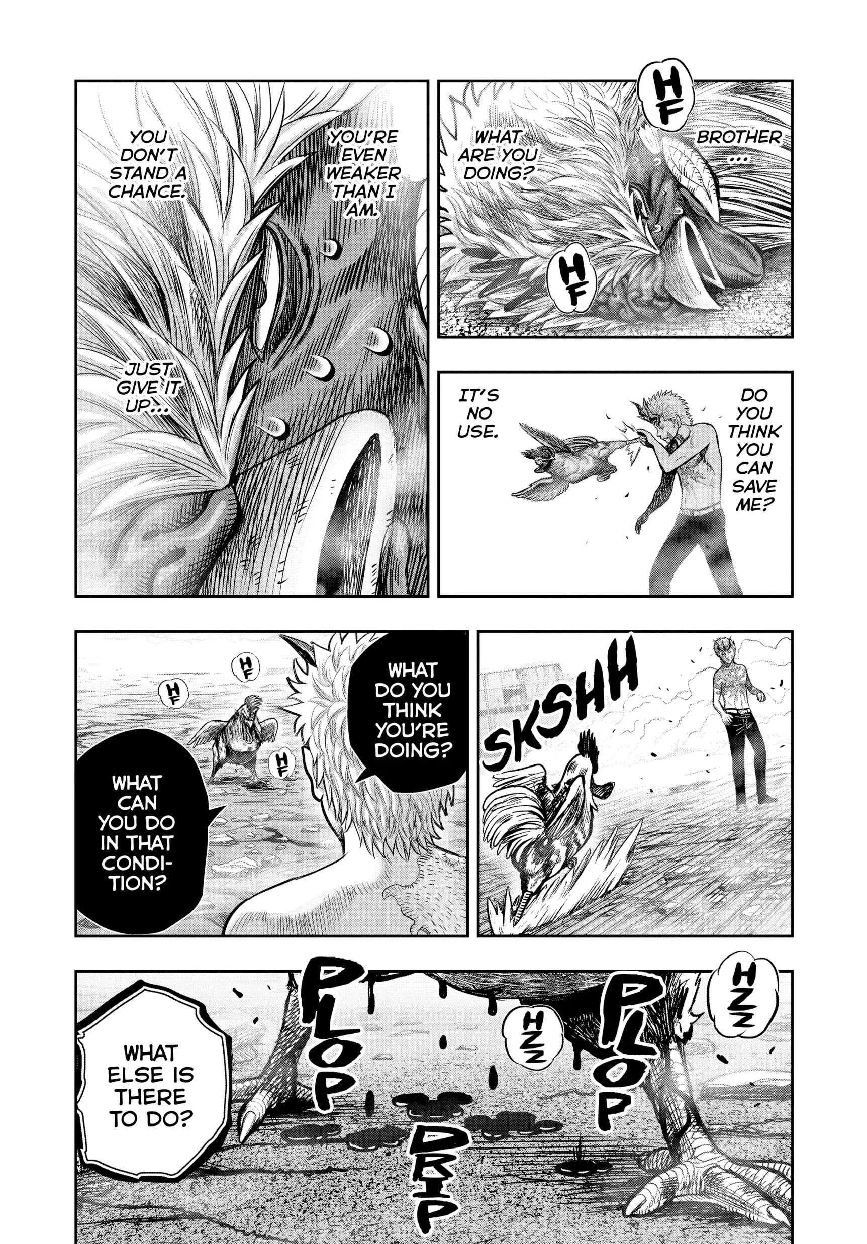 Read Rooster Fighter EN Manga Online