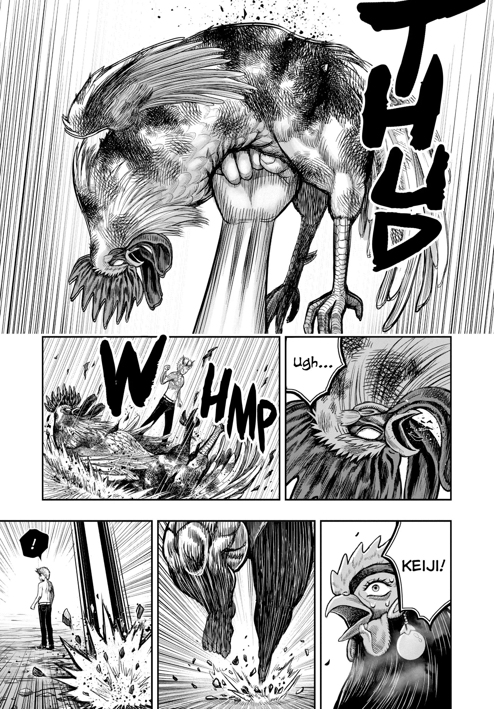Read Rooster Fighter EN Manga Online