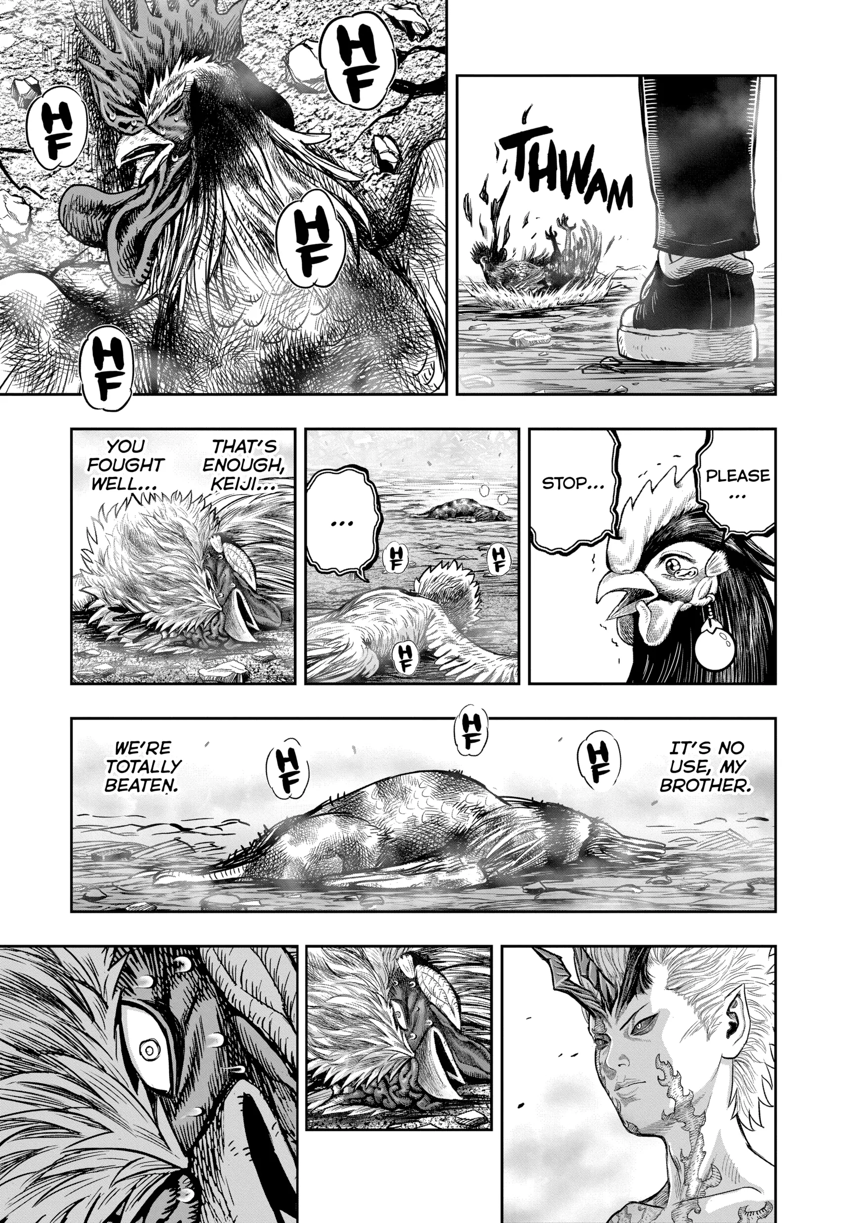 Read Rooster Fighter EN Manga Online