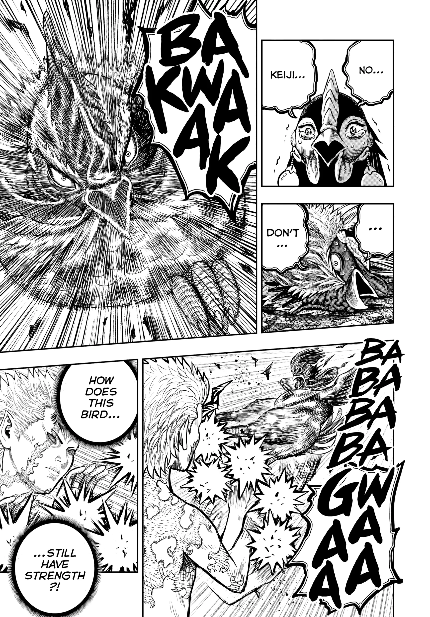 Read Rooster Fighter EN Manga Online