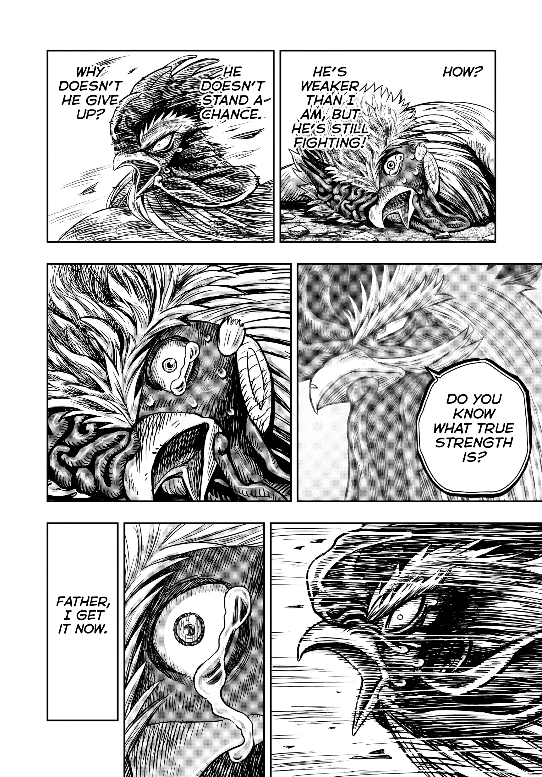 Read Rooster Fighter EN Manga Online
