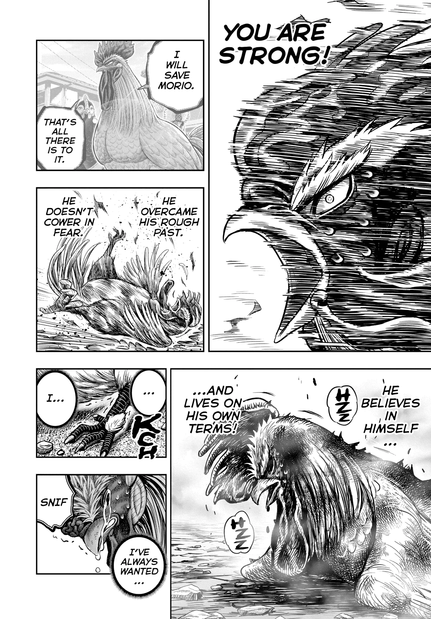 Read Rooster Fighter EN Manga Online