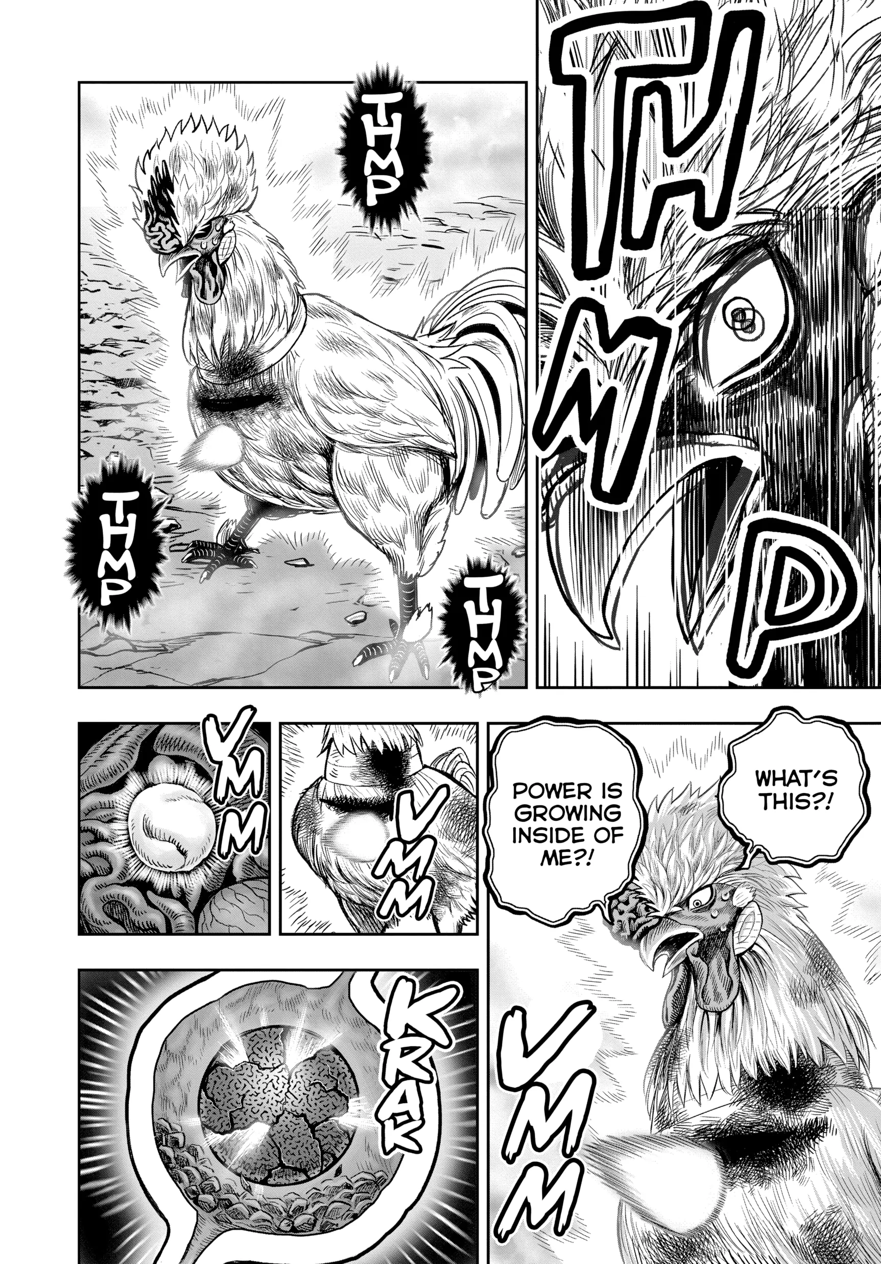 Read Rooster Fighter EN Manga Online