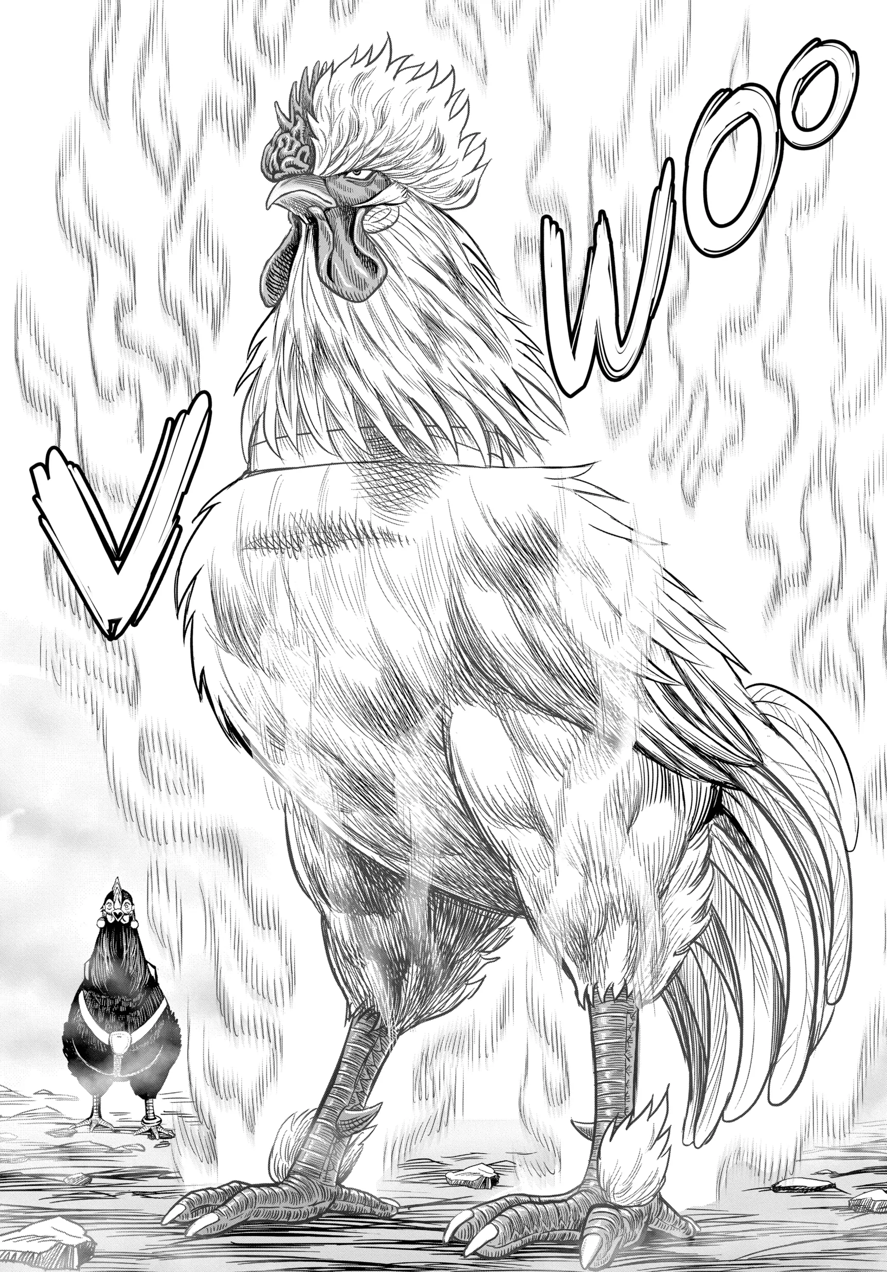 Read Rooster Fighter EN Manga Online