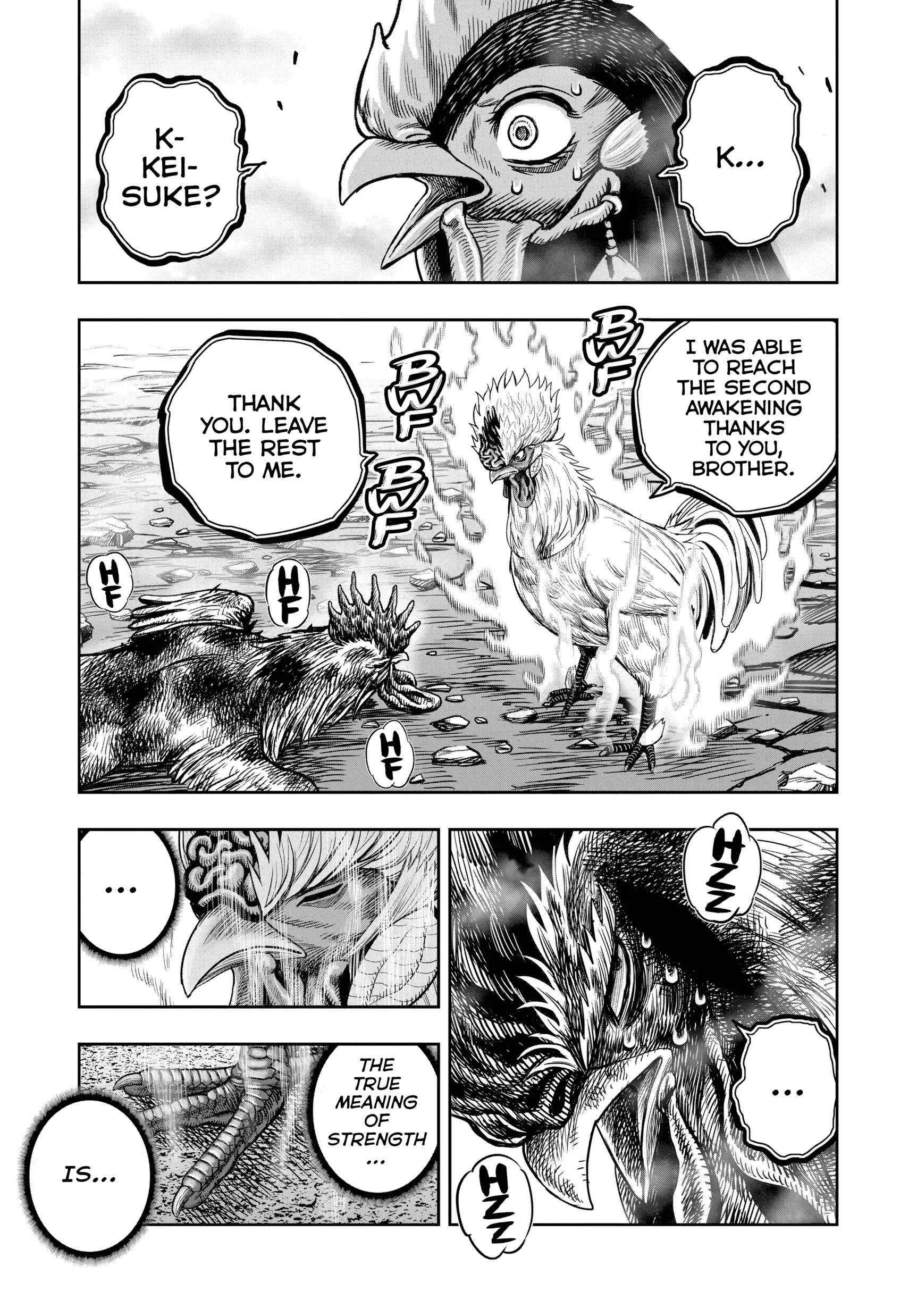 Read Rooster Fighter EN Manga Online