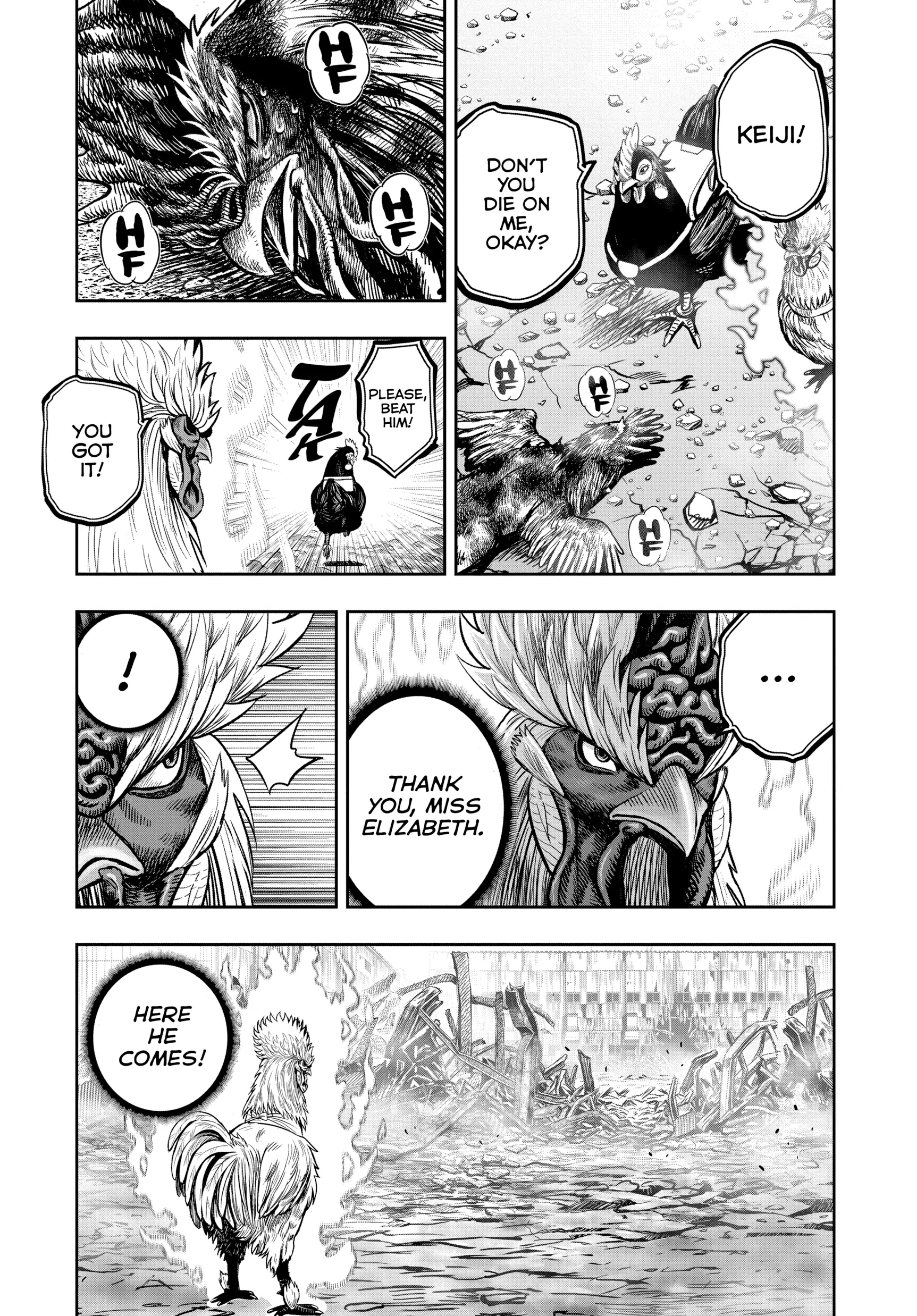 Read Rooster Fighter EN Manga Online