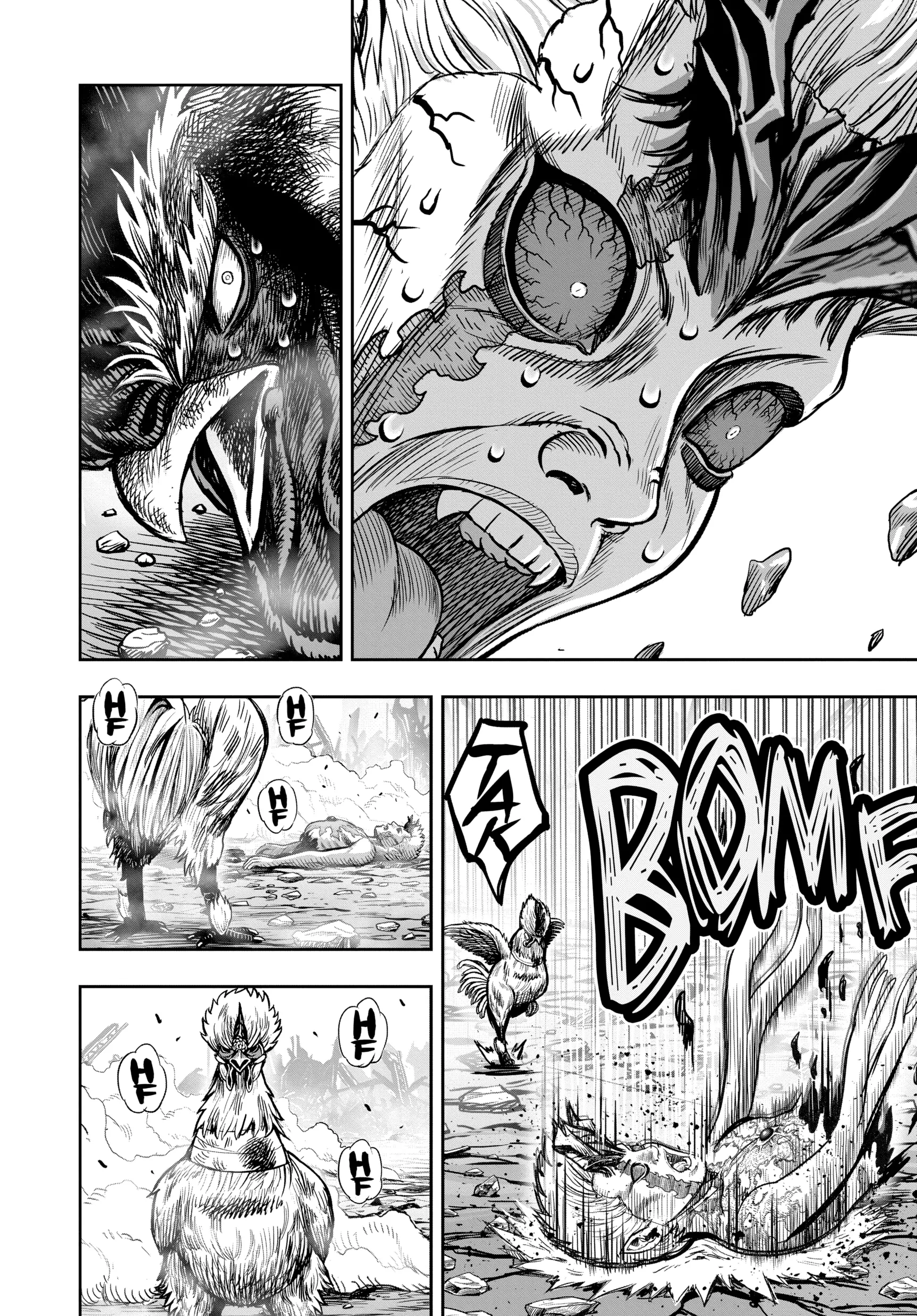 Read Rooster Fighter EN Manga Online