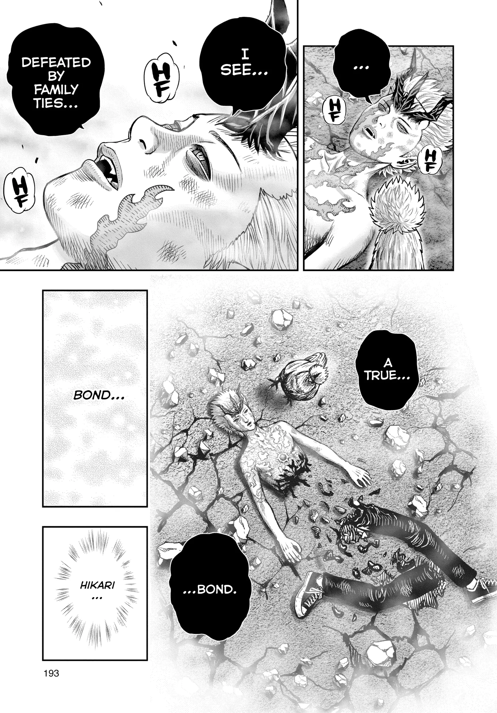 Read Rooster Fighter EN Manga Online