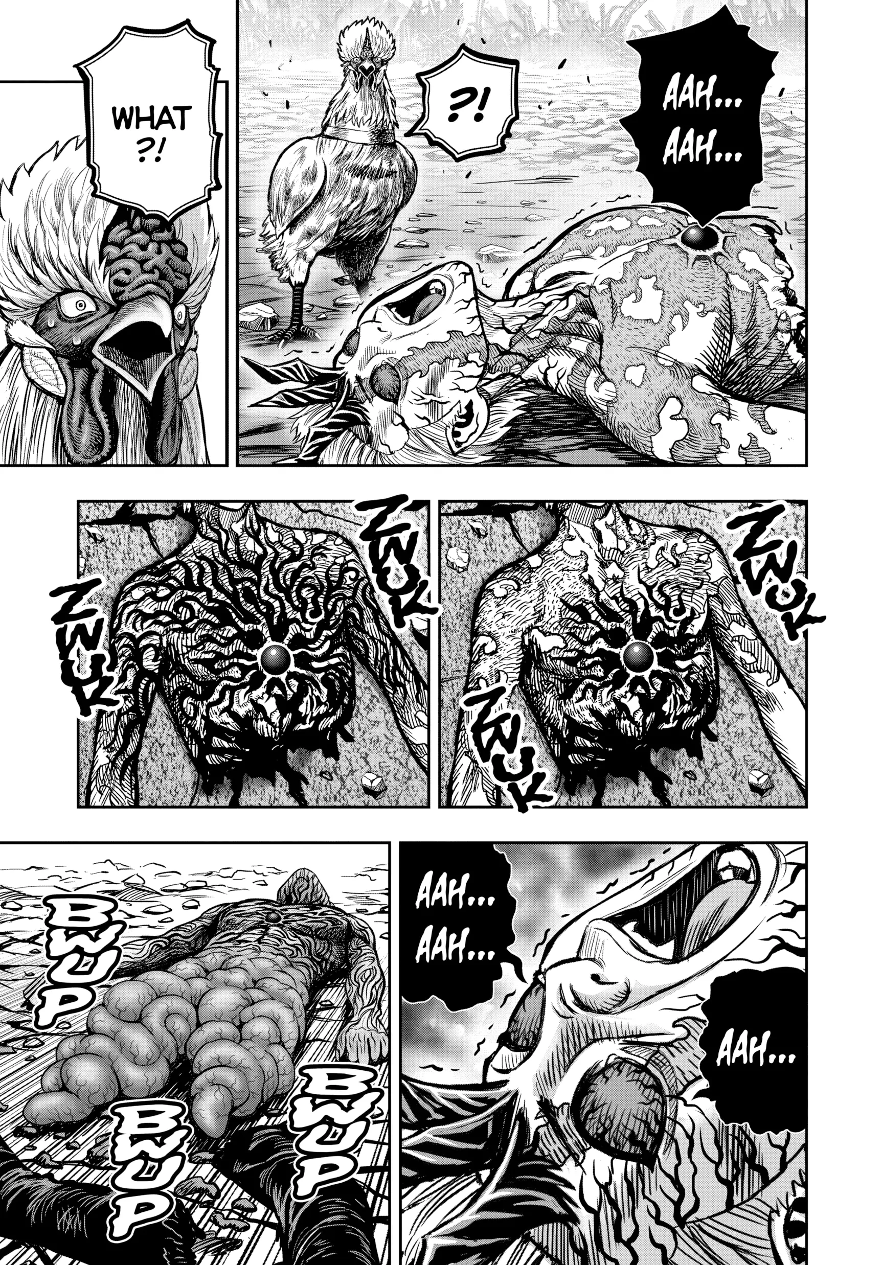 Read Rooster Fighter EN Manga Online