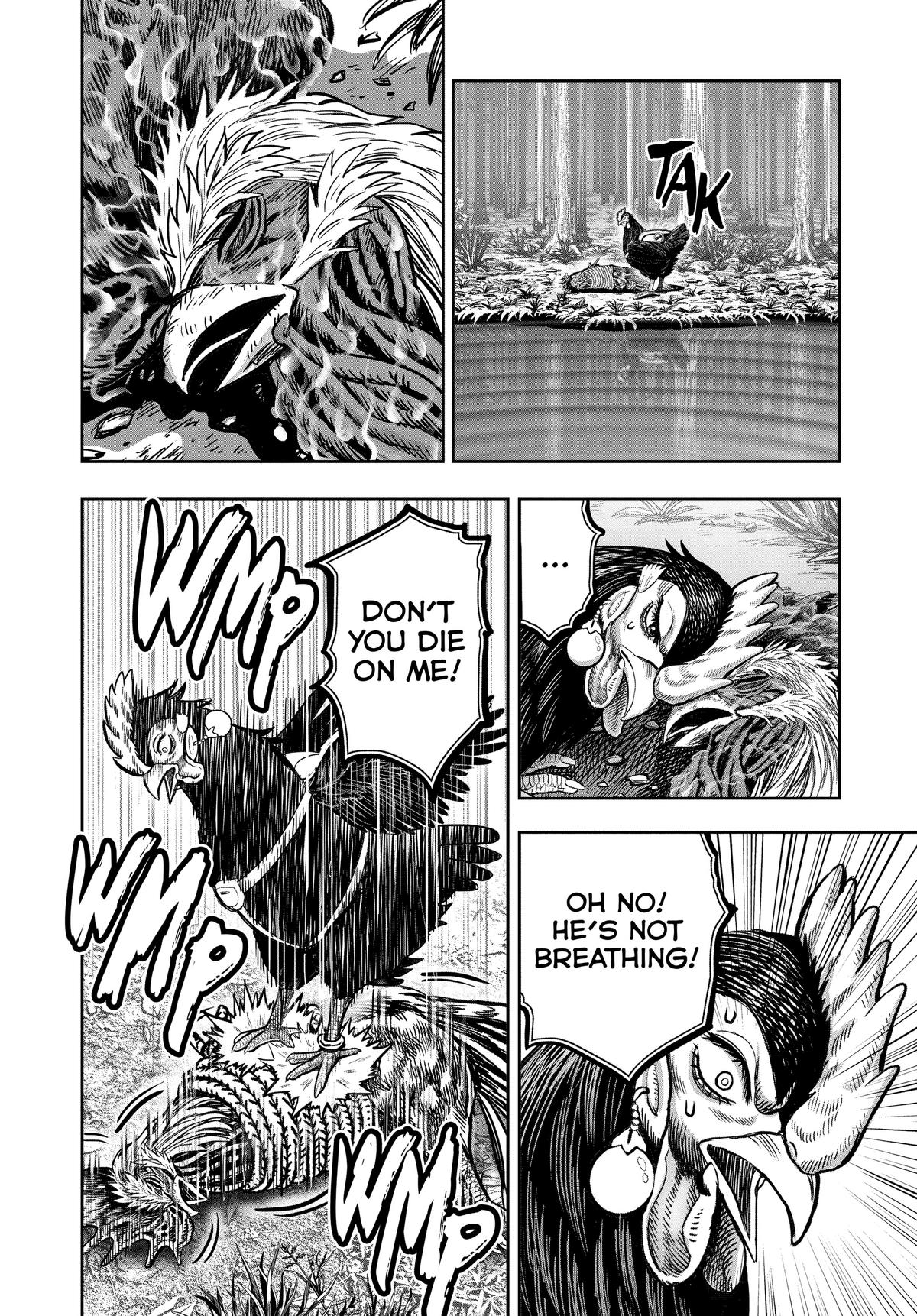 Read Rooster Fighter EN Manga Online
