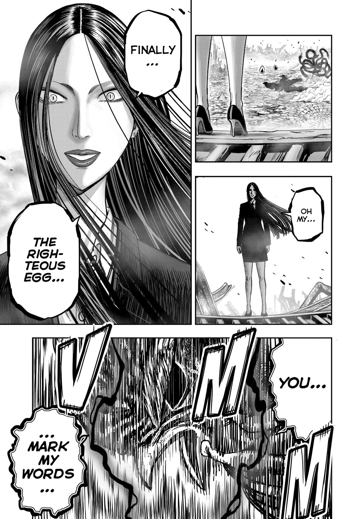 Read Rooster Fighter EN Manga Online