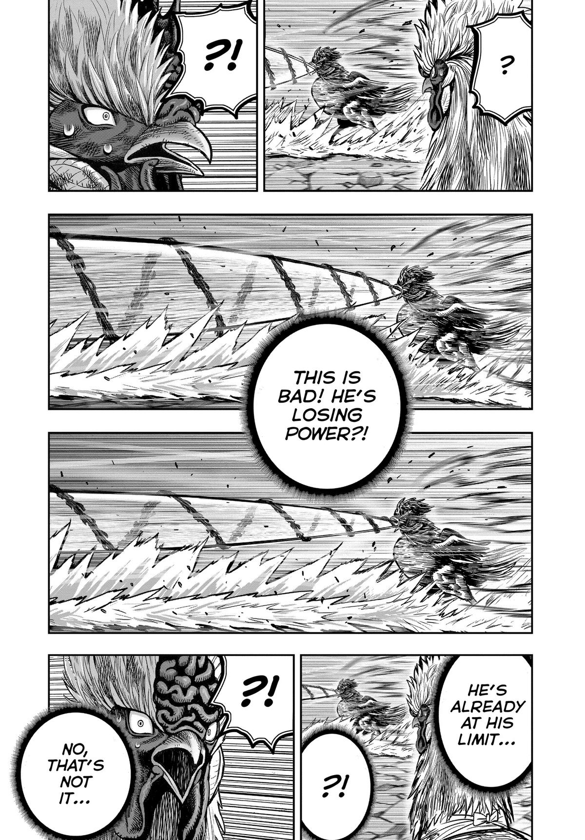 Read Rooster Fighter EN Manga Online