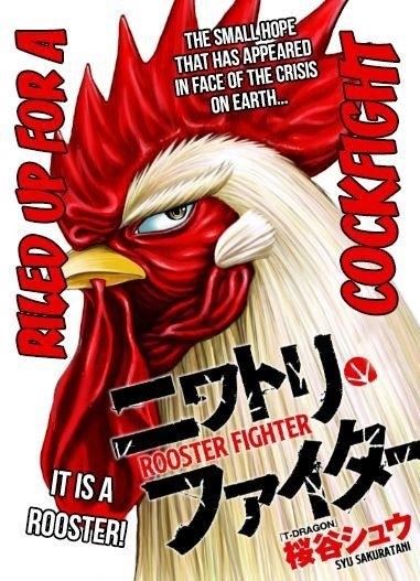 Read Rooster Fighter EN Manga Online