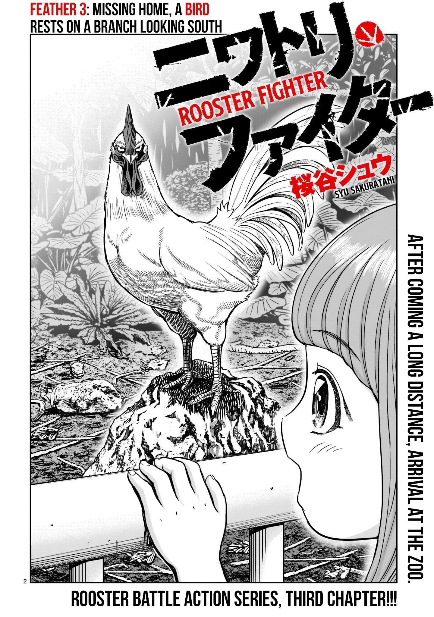 Read Rooster Fighter EN Manga Online