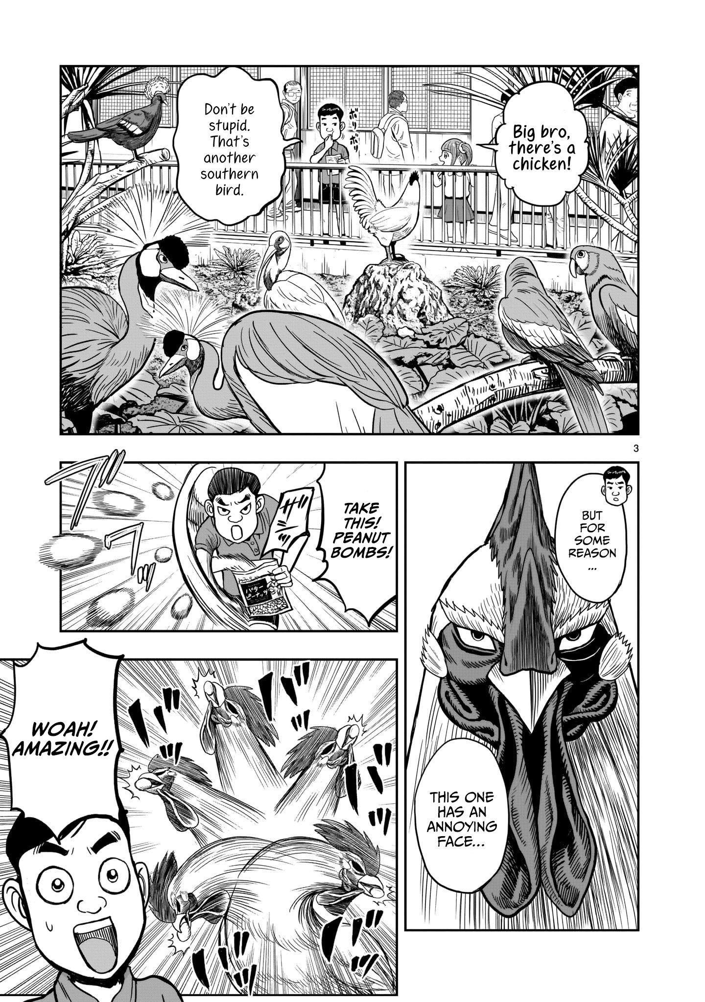 Read Rooster Fighter EN Manga Online