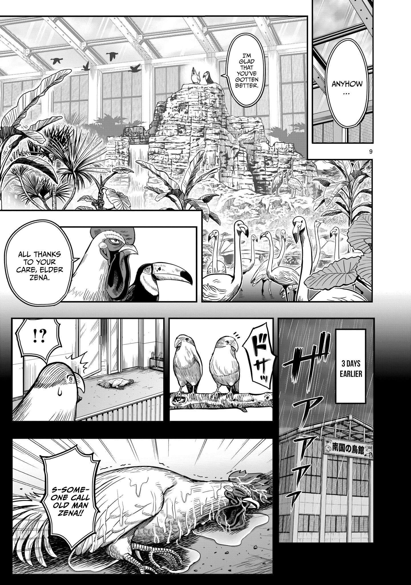 Read Rooster Fighter EN Manga Online