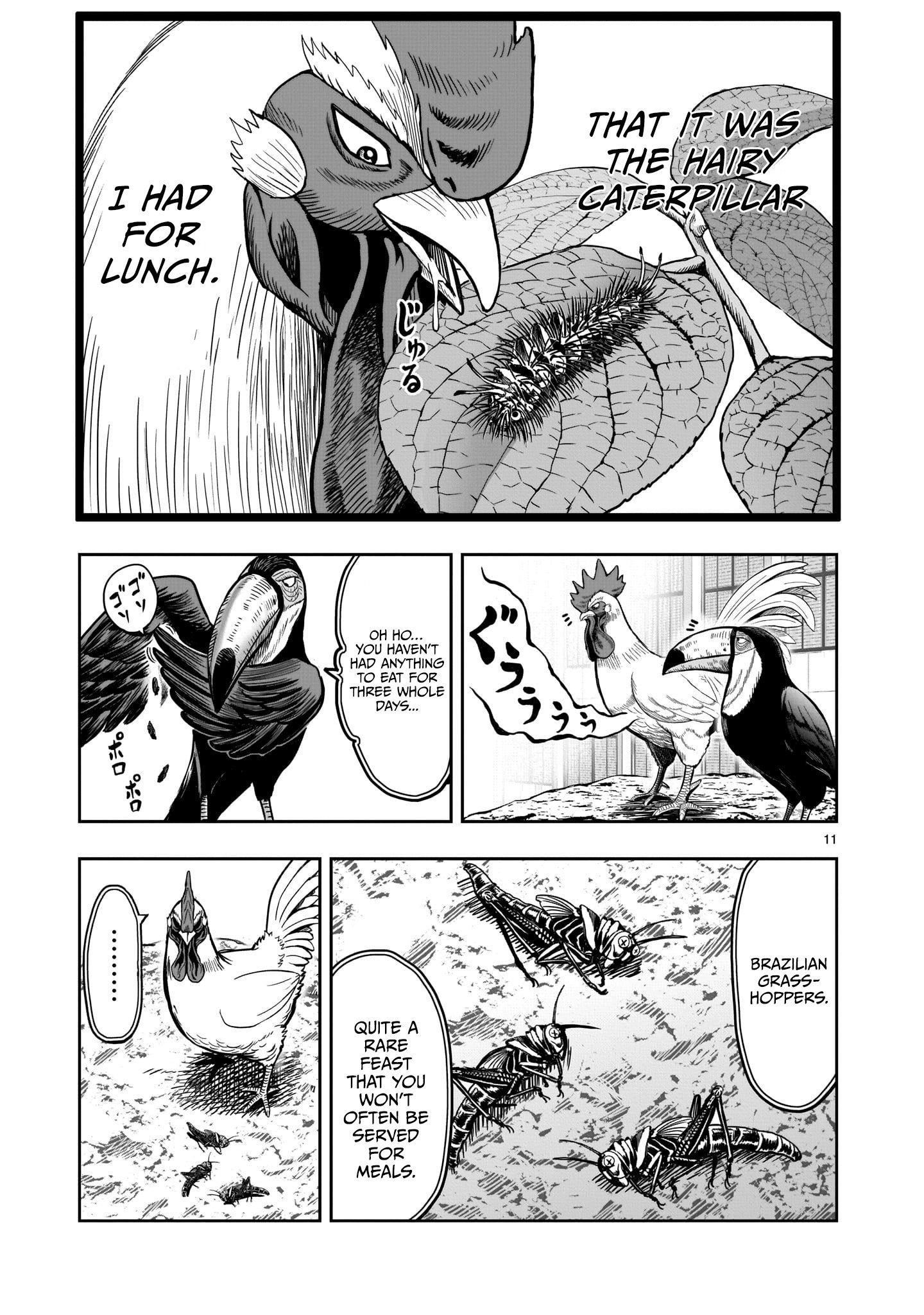Read Rooster Fighter EN Manga Online
