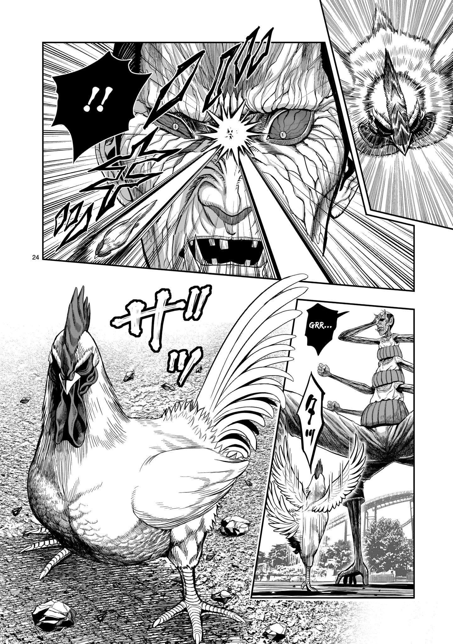 Read Rooster Fighter EN Manga Online