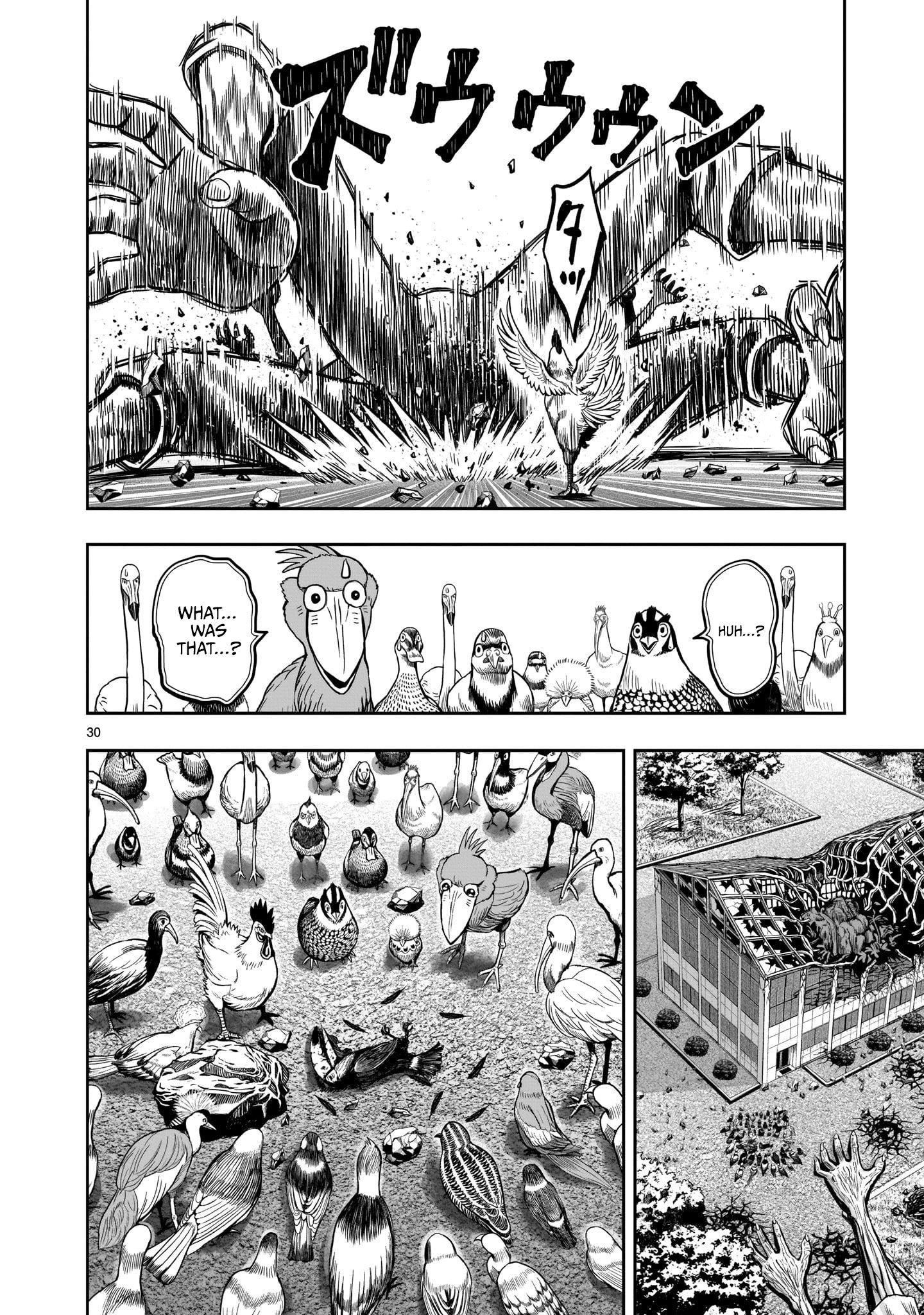 Read Rooster Fighter EN Manga Online